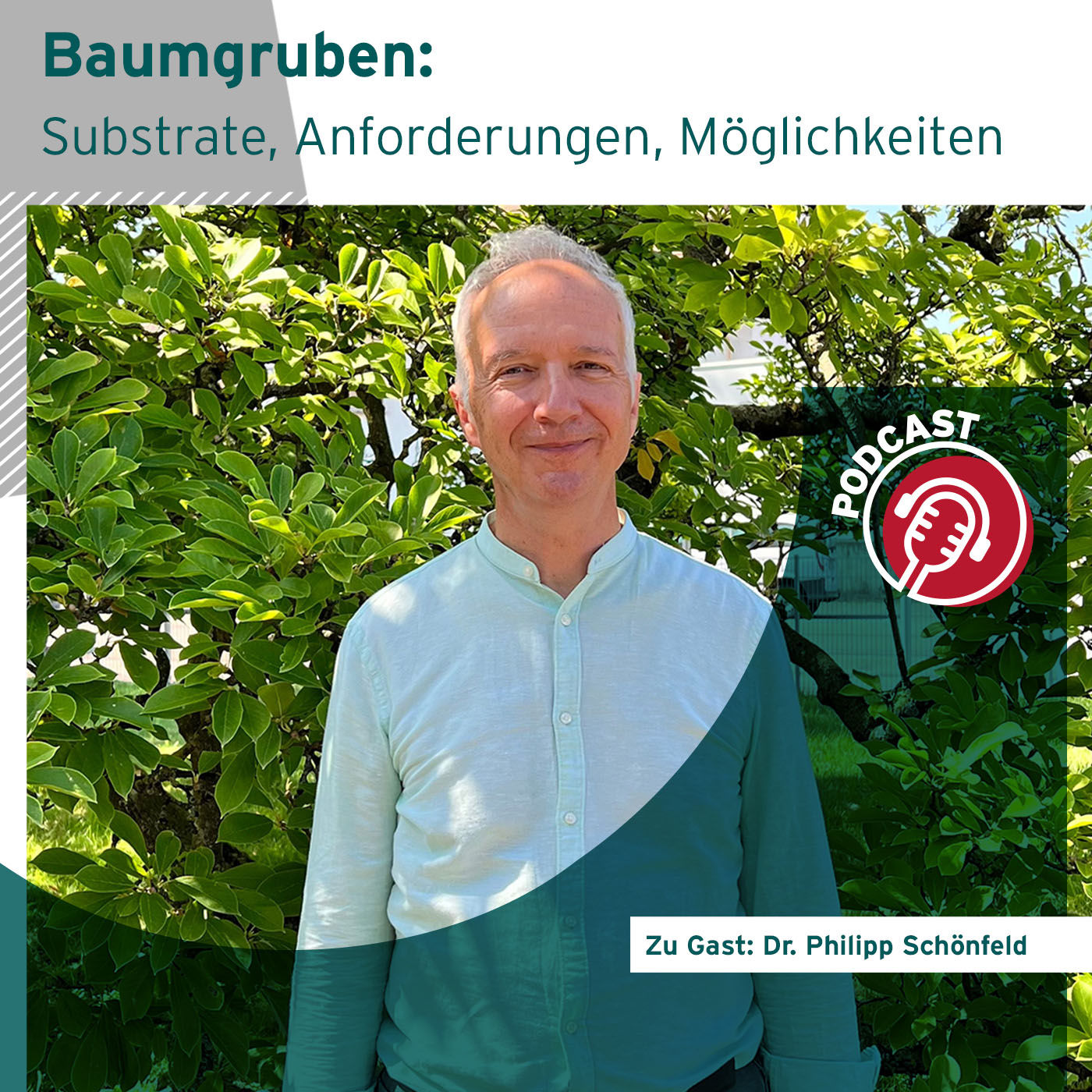 Baumgruben: Substrate, Anforderungen und Möglichkeiten