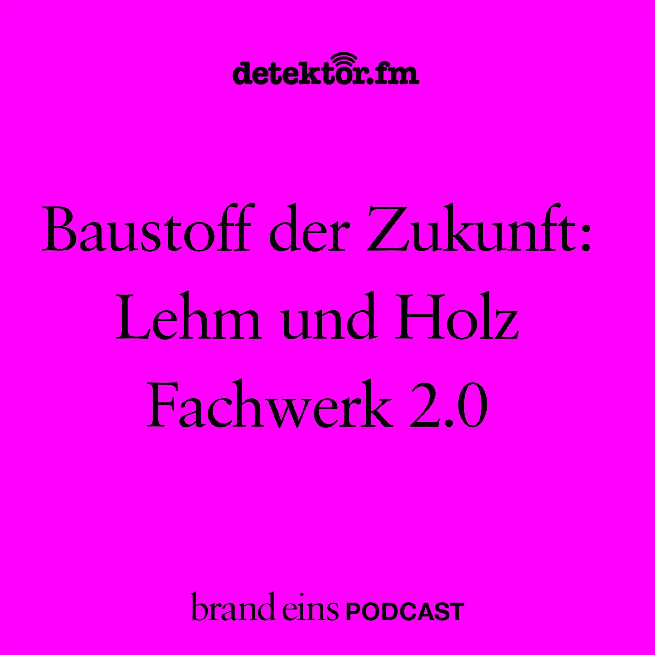 Baustoffe der Zukunft: Lehm und Holz