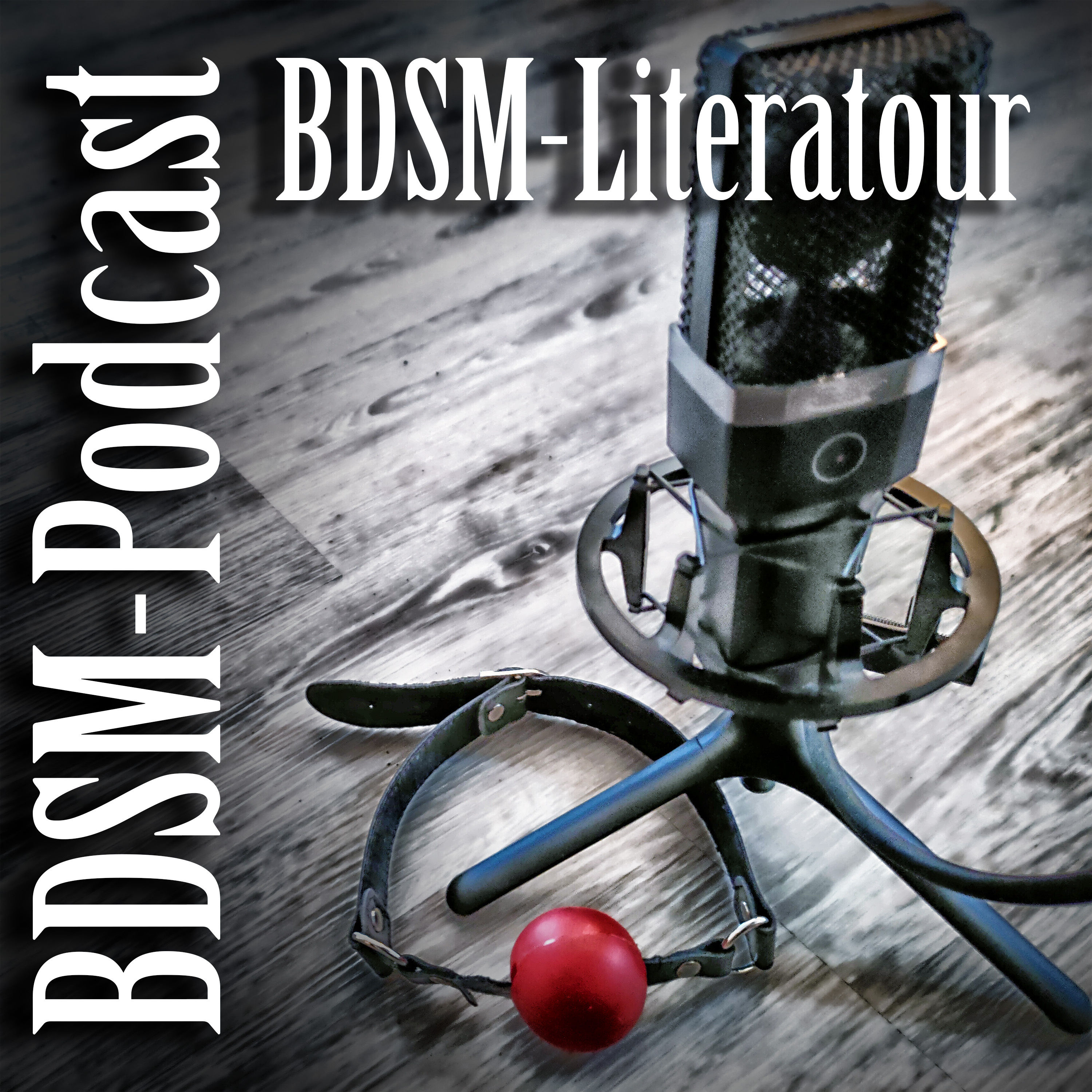 BDSM-Literatour
