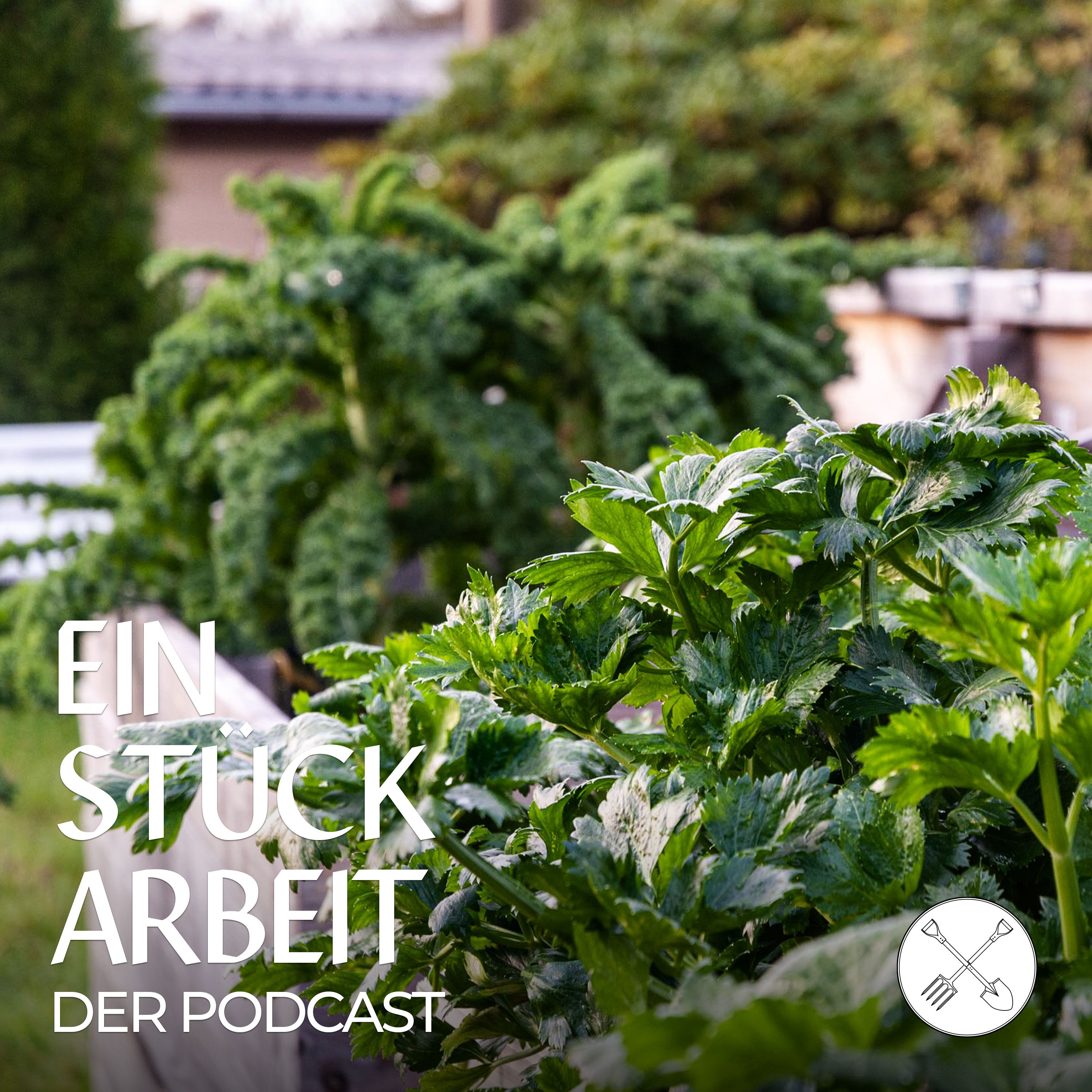 Beete planen und anlegen: 7 Tipps