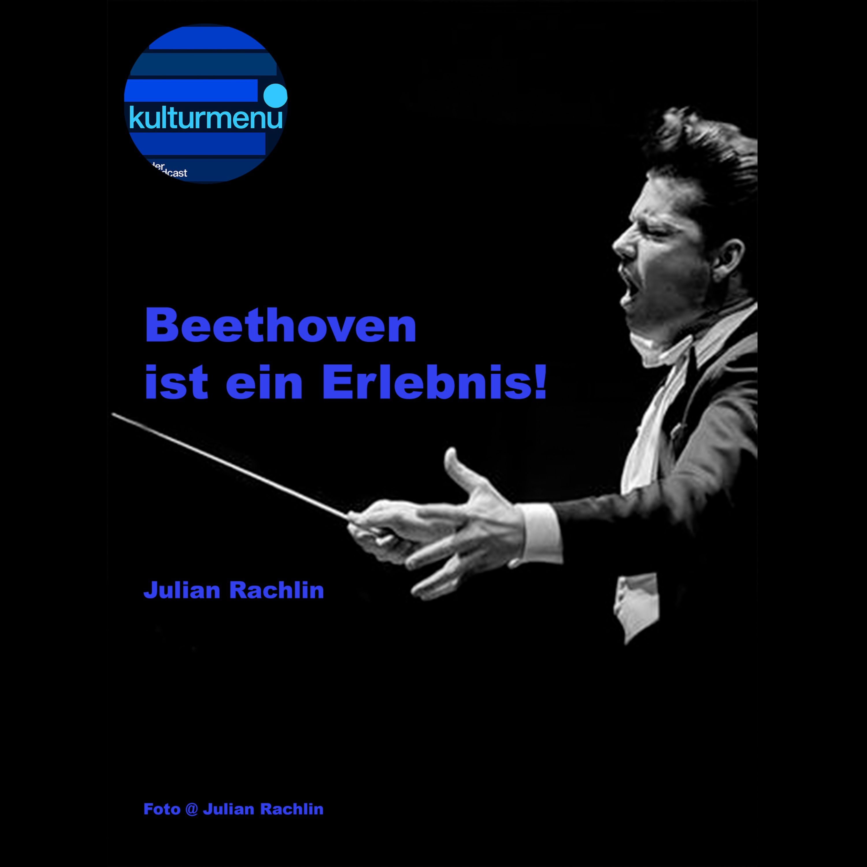 Beethovens Fünfte, 1. Satz