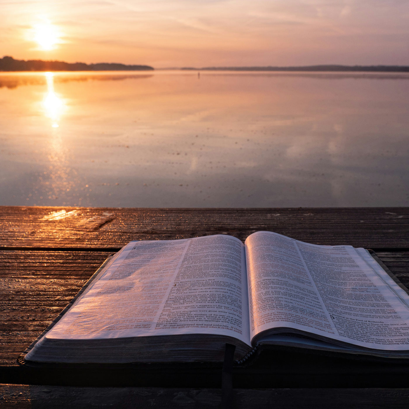 Begegnungen mit dem Fremden. Die Bibel als Lese- und Lebensbuch.