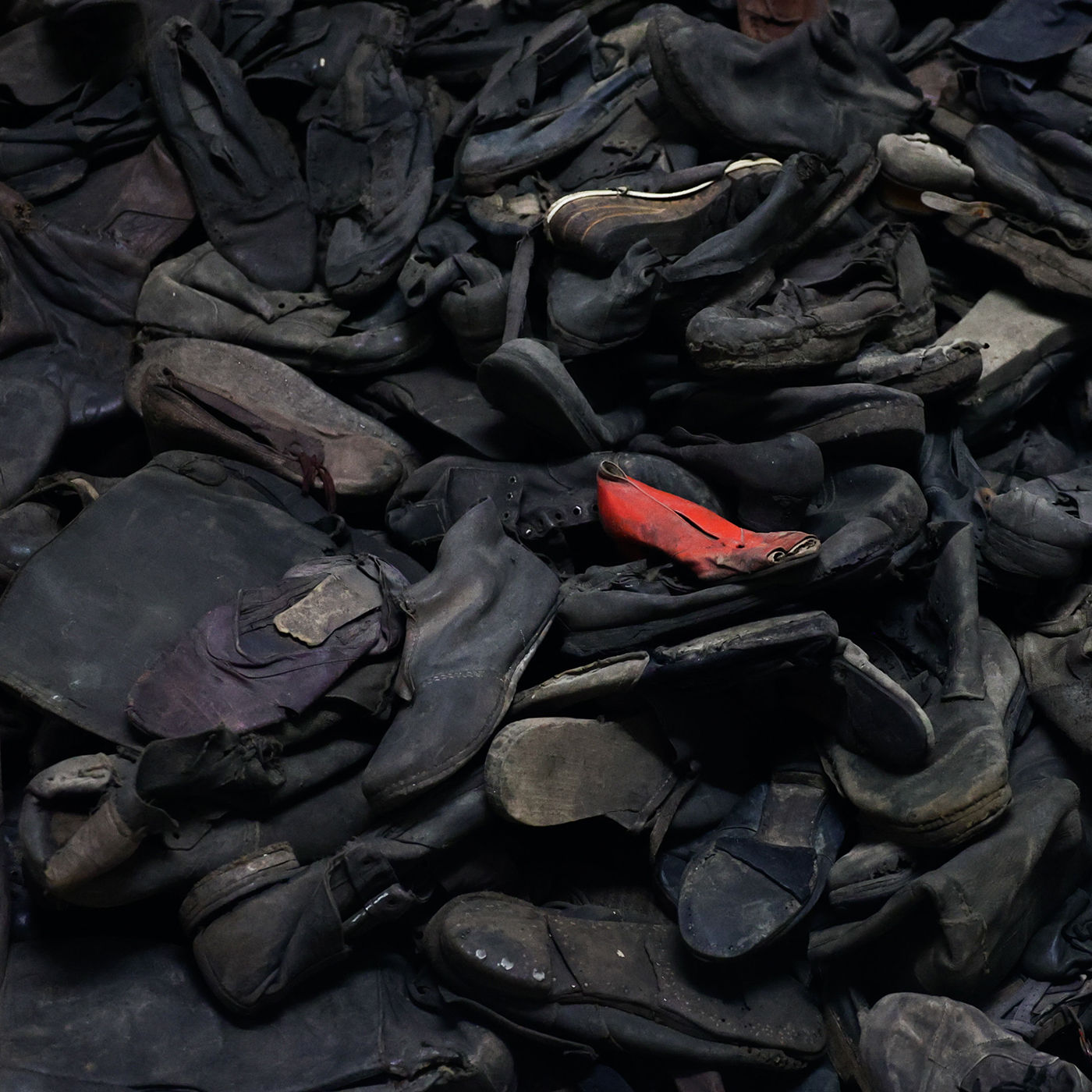 Bei uns in Auschwitz