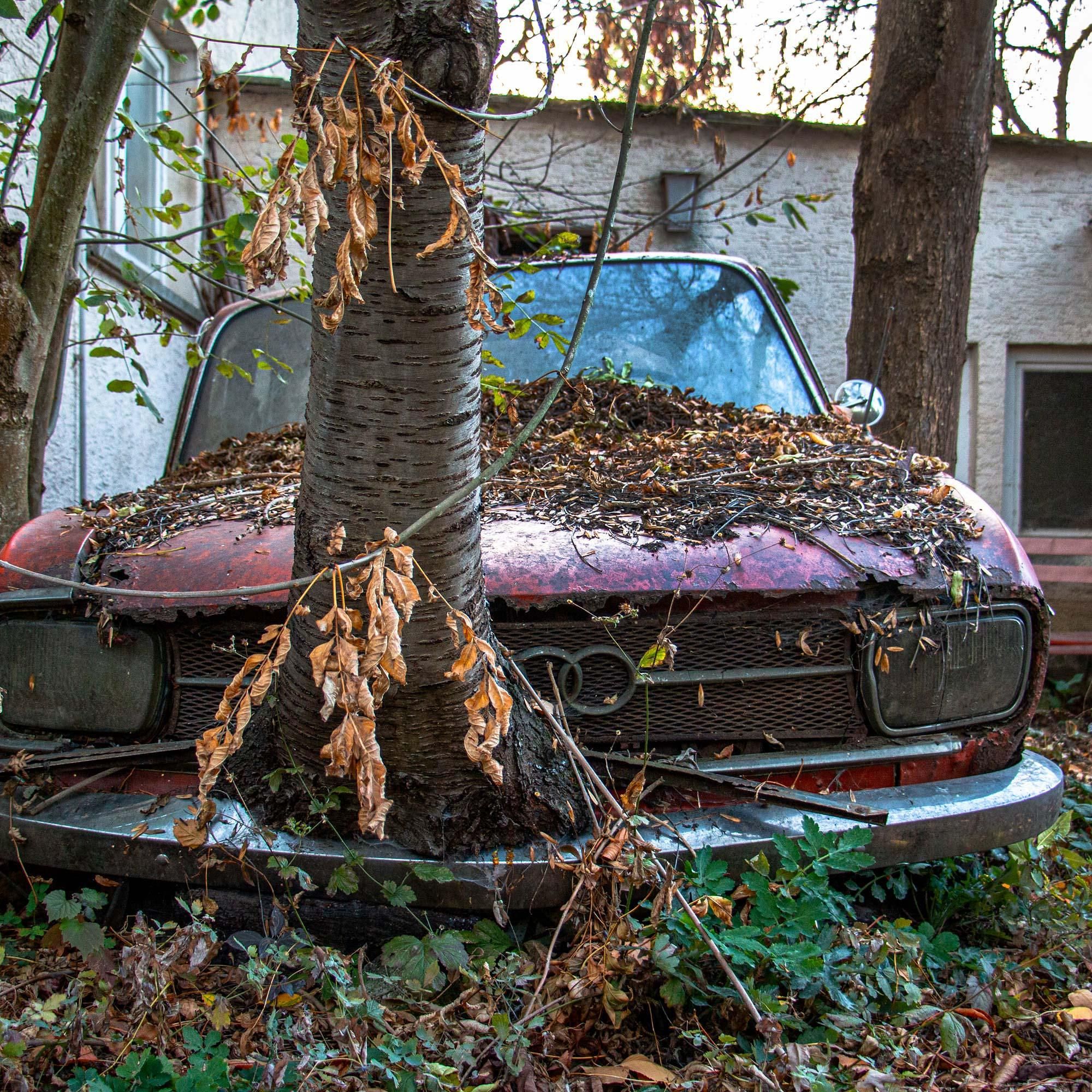 Benjamin Seyfang: Lost Places oder der Reiz des Vergänglichen