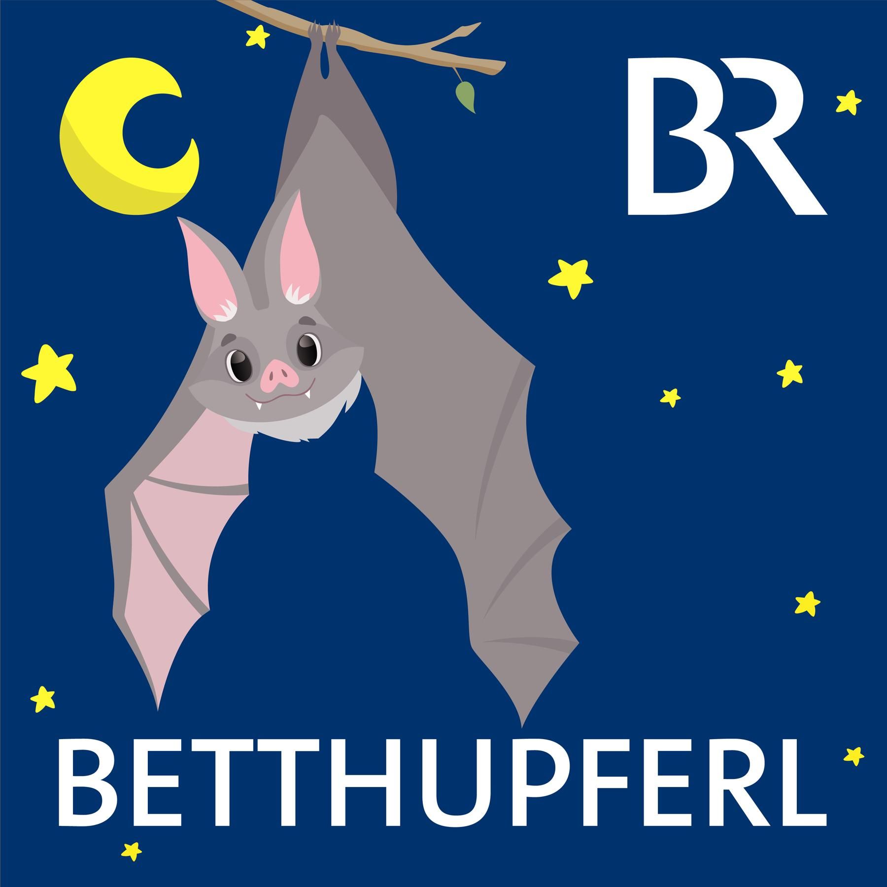 Beppo, die Burgfledermaus: Zugeflogen/Mundart Mittelfranken | Gute Nacht-Geschichte