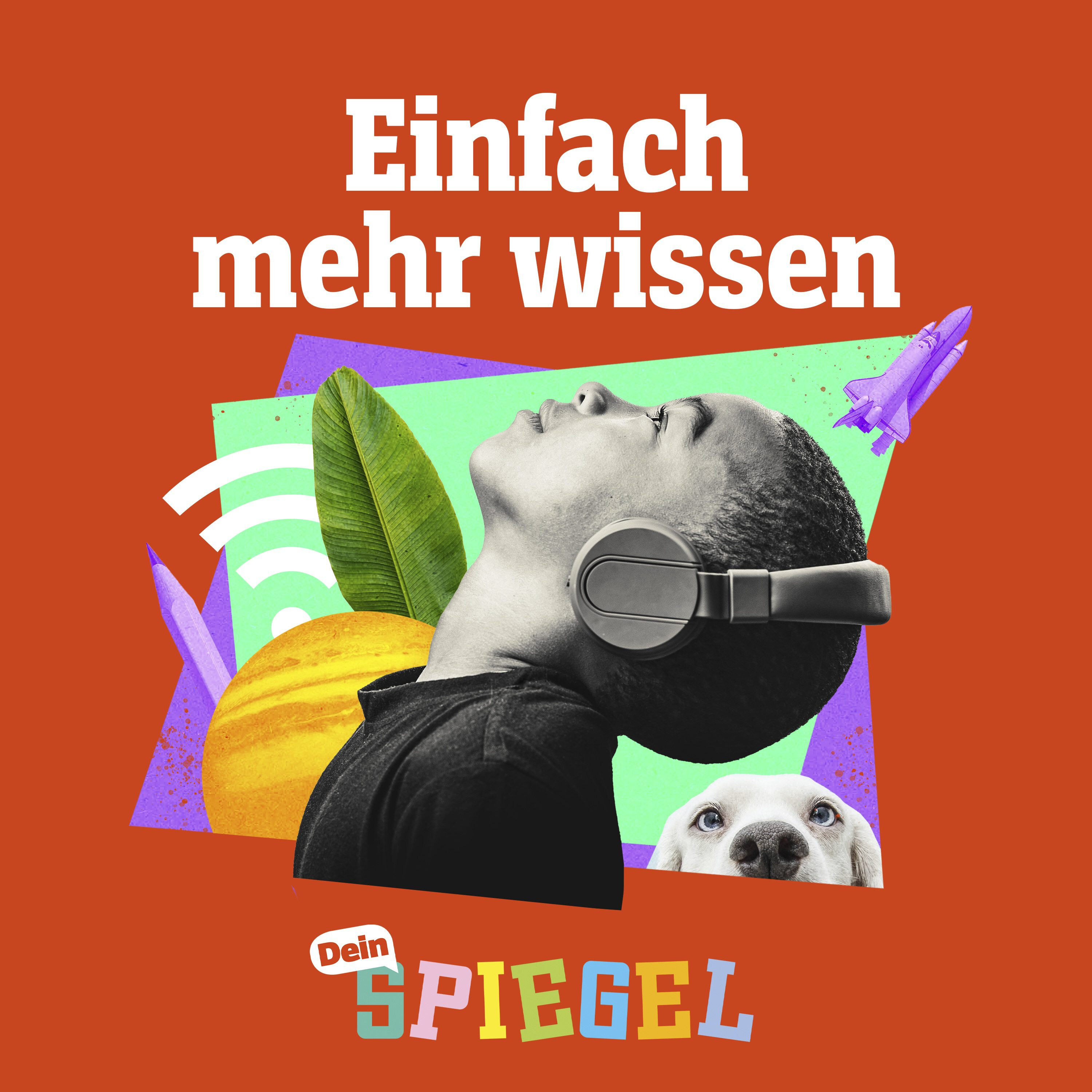 Beruf Staatsanwalt: Von Fall zu Fall