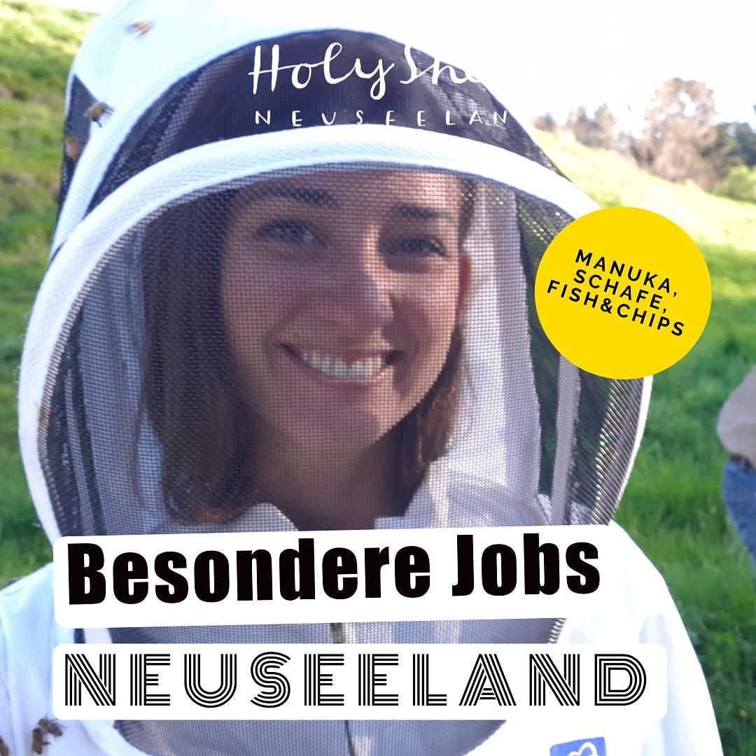 Besondere Jobs in Neuseeland: Schafsfarm, Manuka-Bienen und Fish & Chips. - mit Janina aus Queenstown