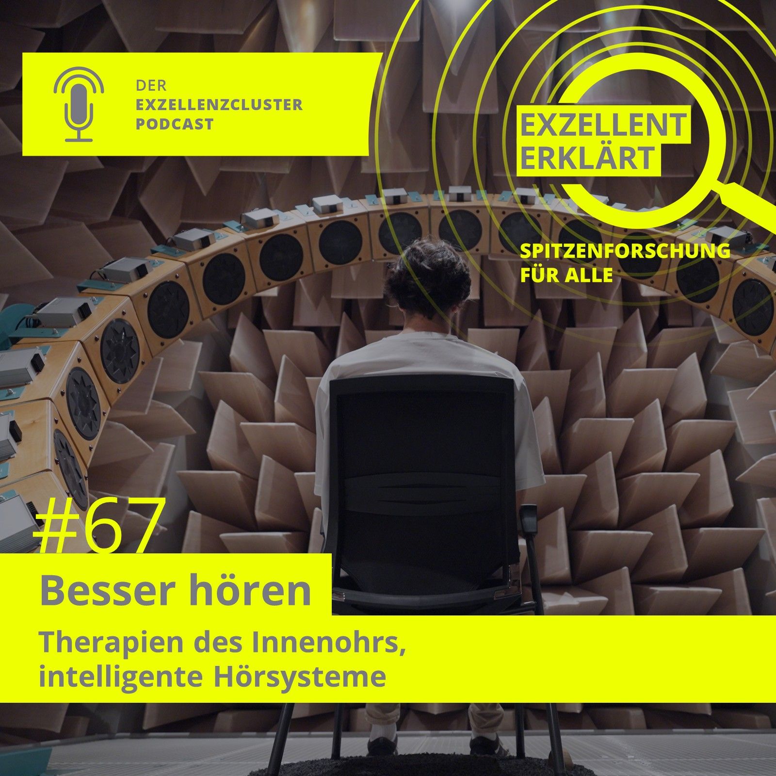 Besser hören: Therapien des Innenohrs, intelligente Hörsysteme