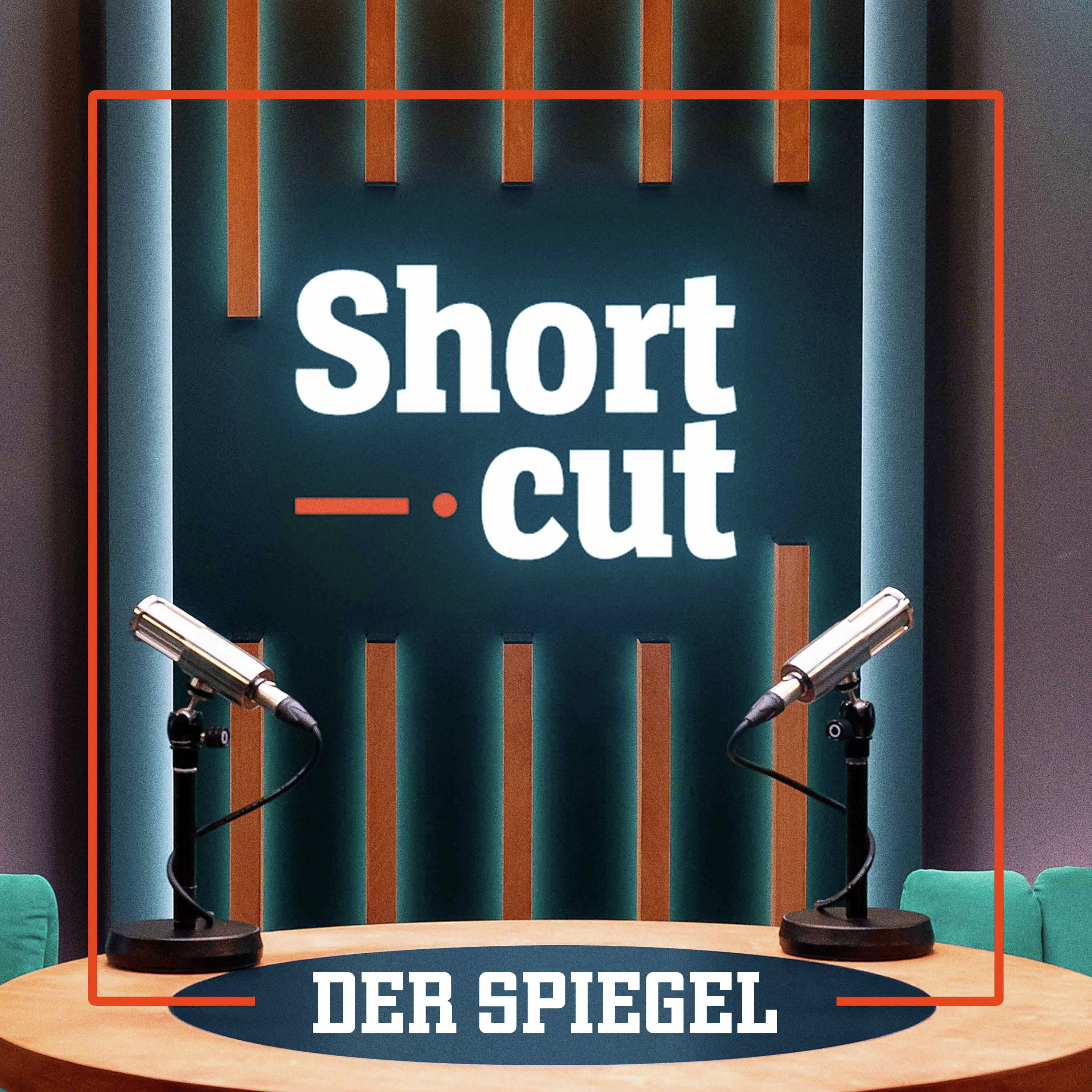 Best of SPIEGEL Shortcut: »Die AfD ist nicht das Entscheidende in diesem Land«