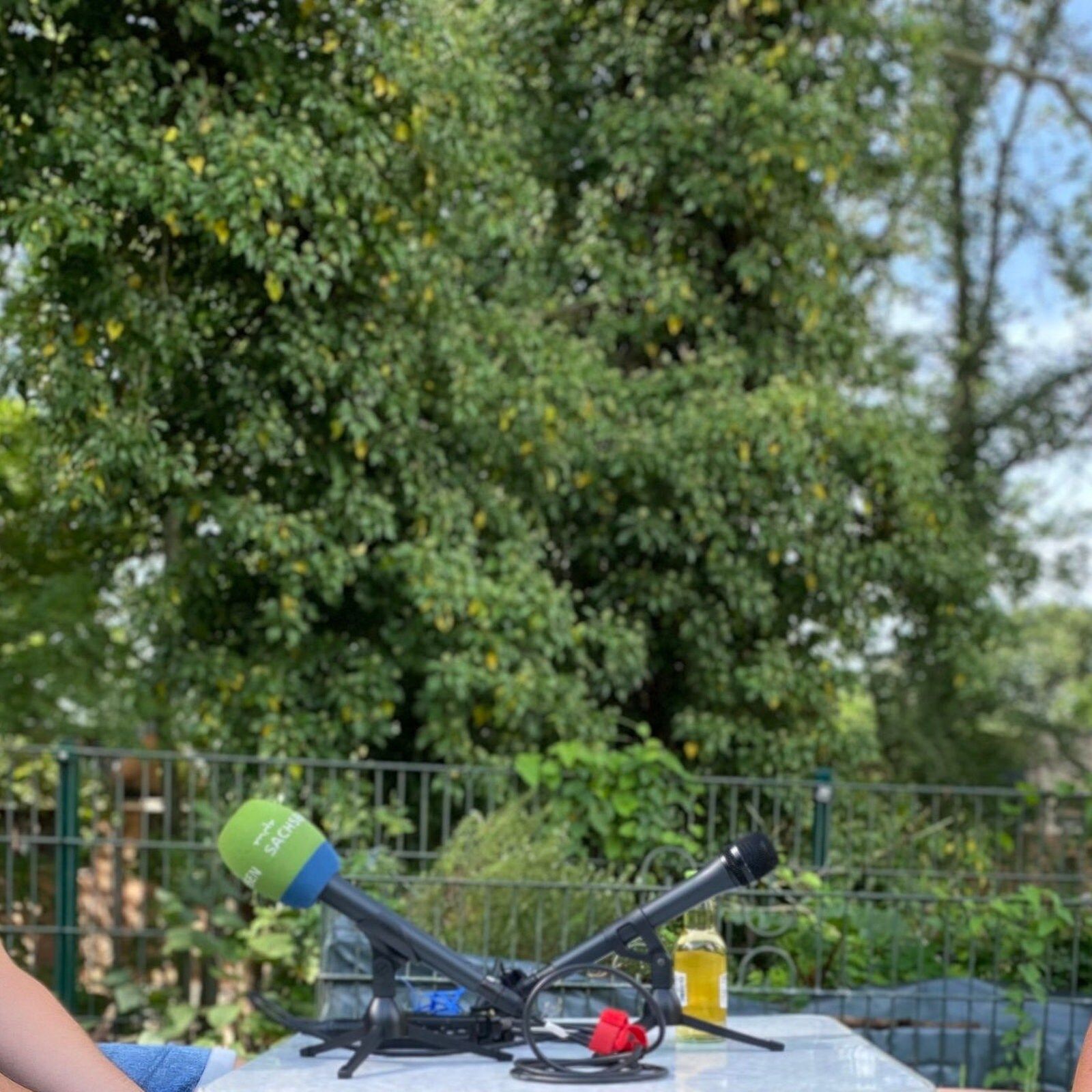 Bewaffnet ohne Hand und Fuß - Giftschlangen im Zoo Leipzig