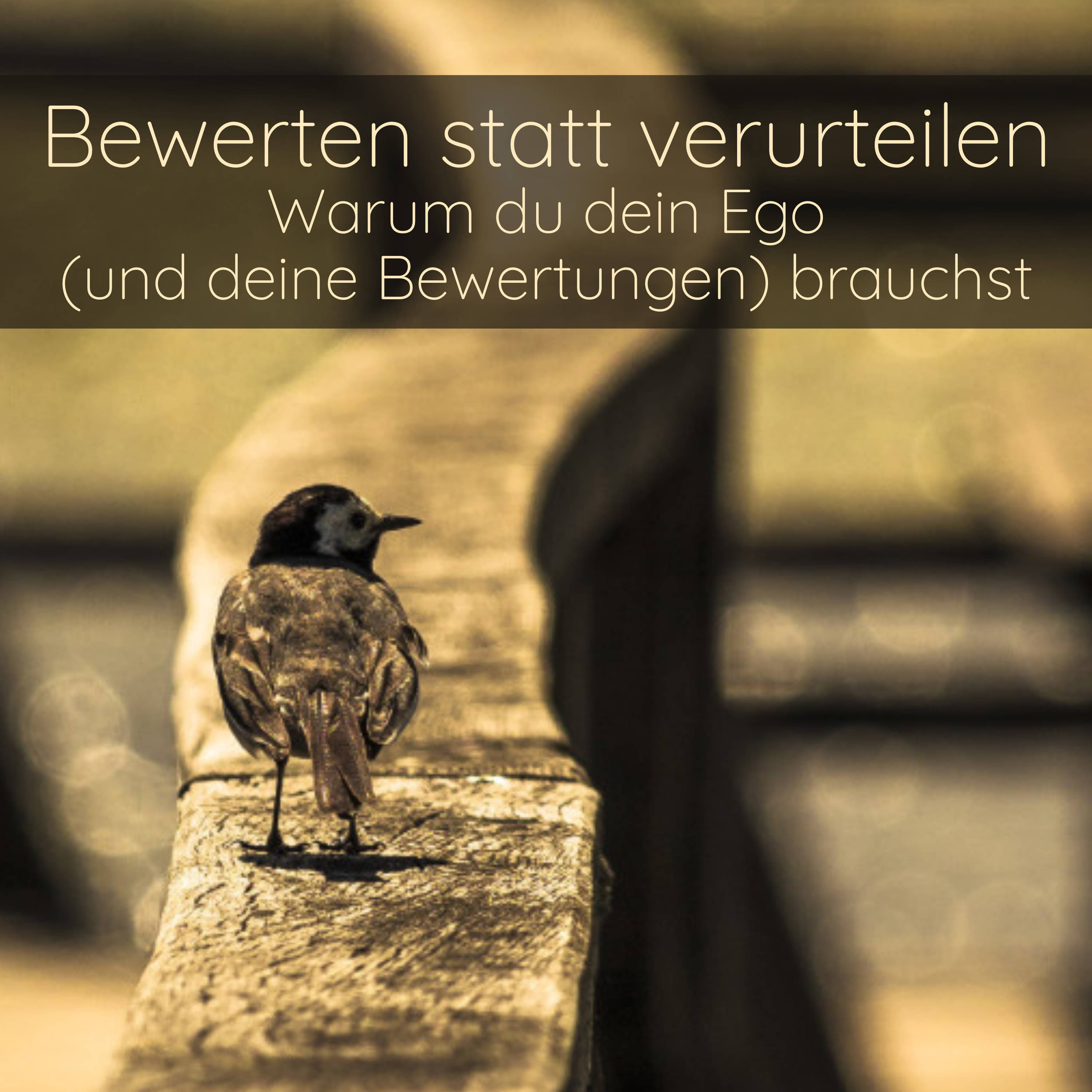 Bewerten statt verurteilen – Warum du dein Ego (und deine Bewertungen) brauchst