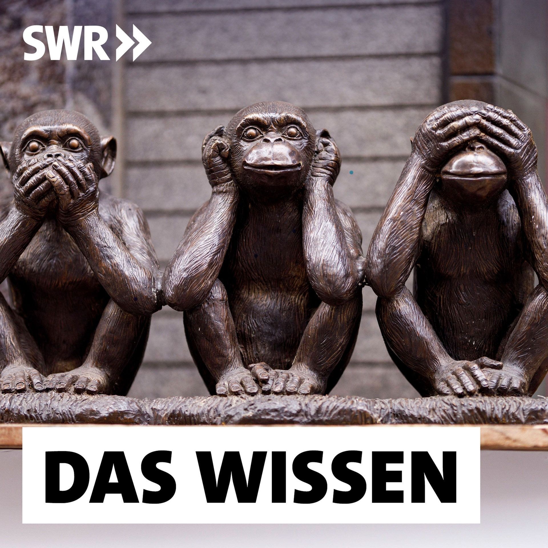 Bewusste Ignoranz – Warum wir nicht alles wissen wollen