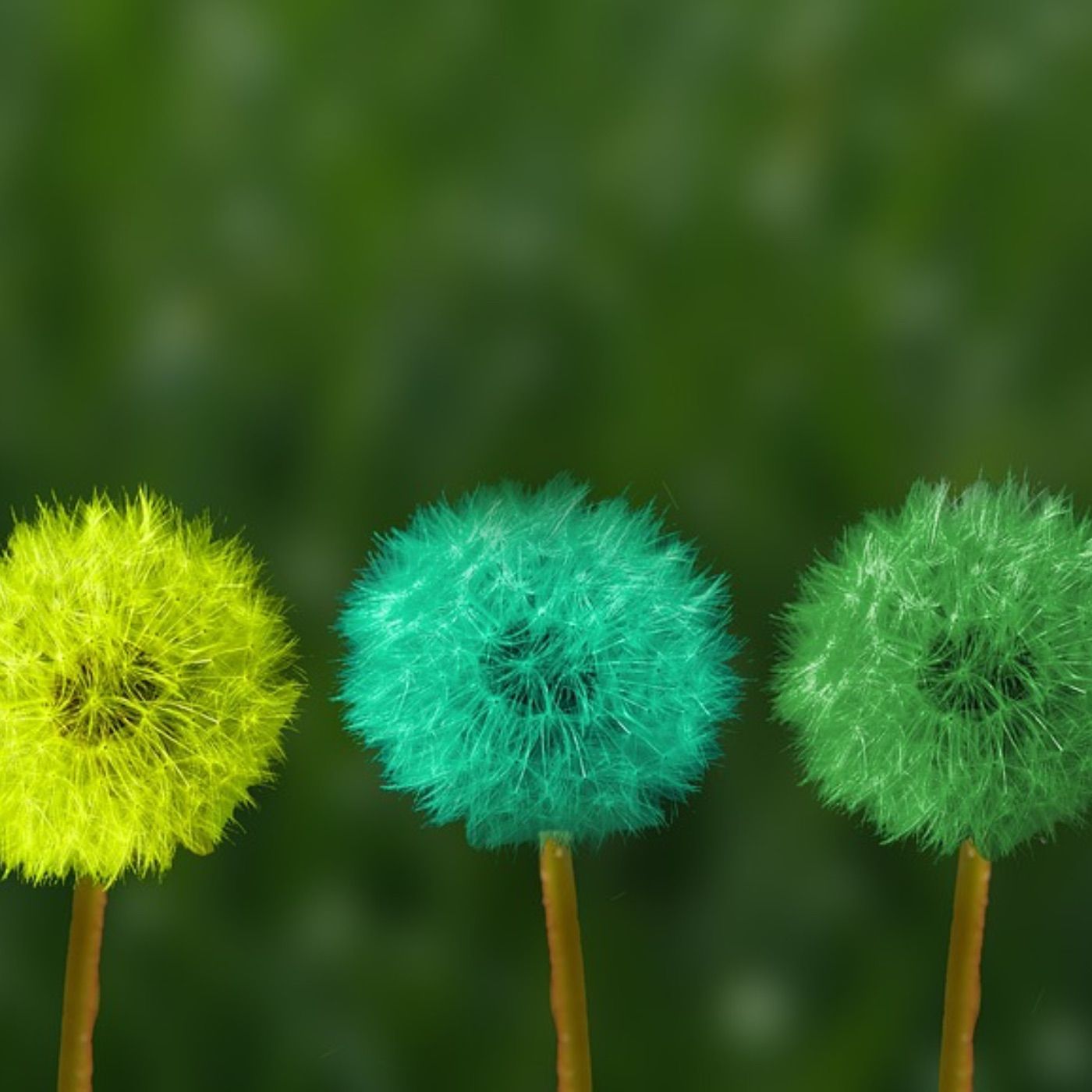 Bewusstsein, Ebenen und Stufen