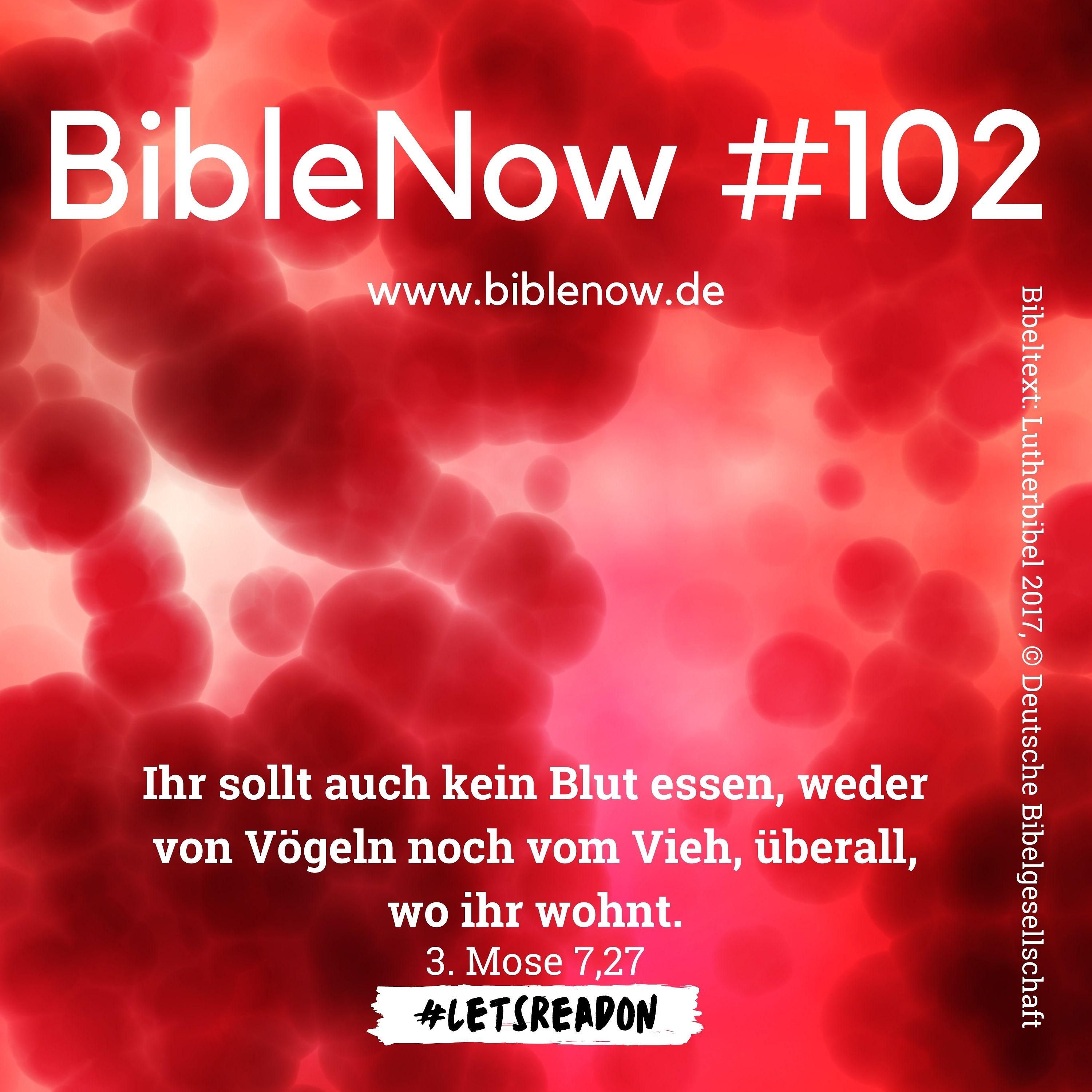 BibleNow #102: 3. Mose 7,16-38
