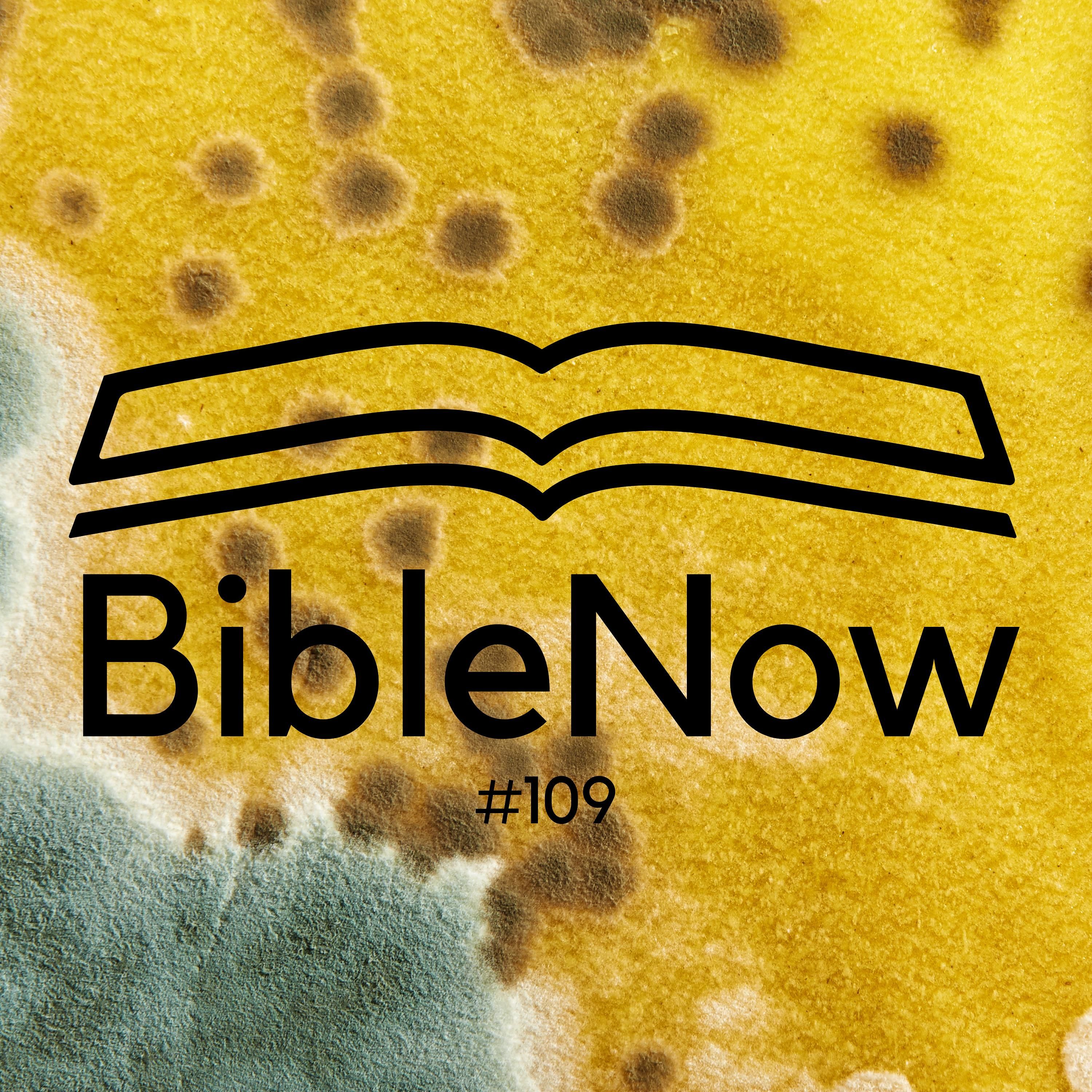 BibleNow #109: 3. Mose 13,47-14,57