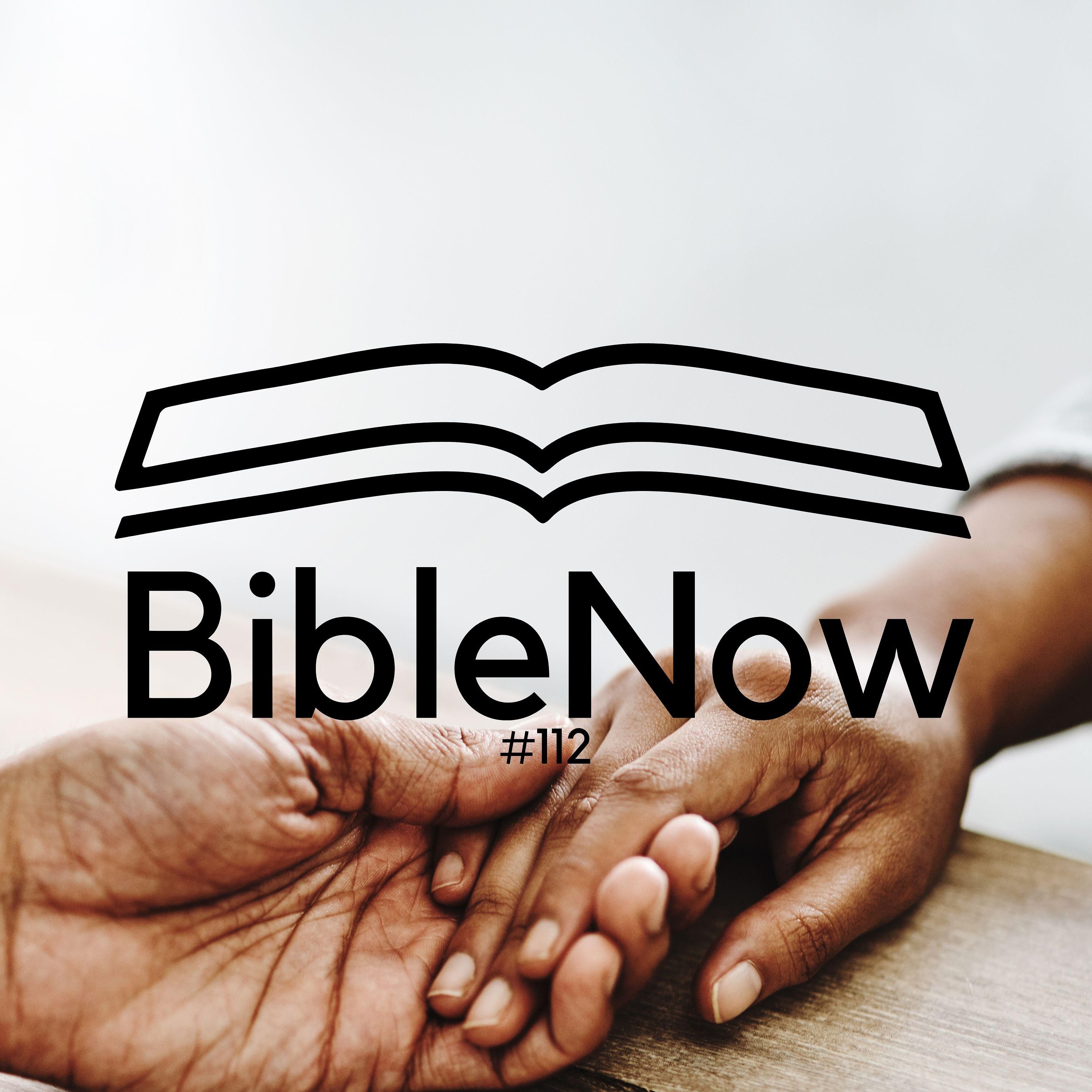 BibleNow #112: 3. Mose 16,18-17,9