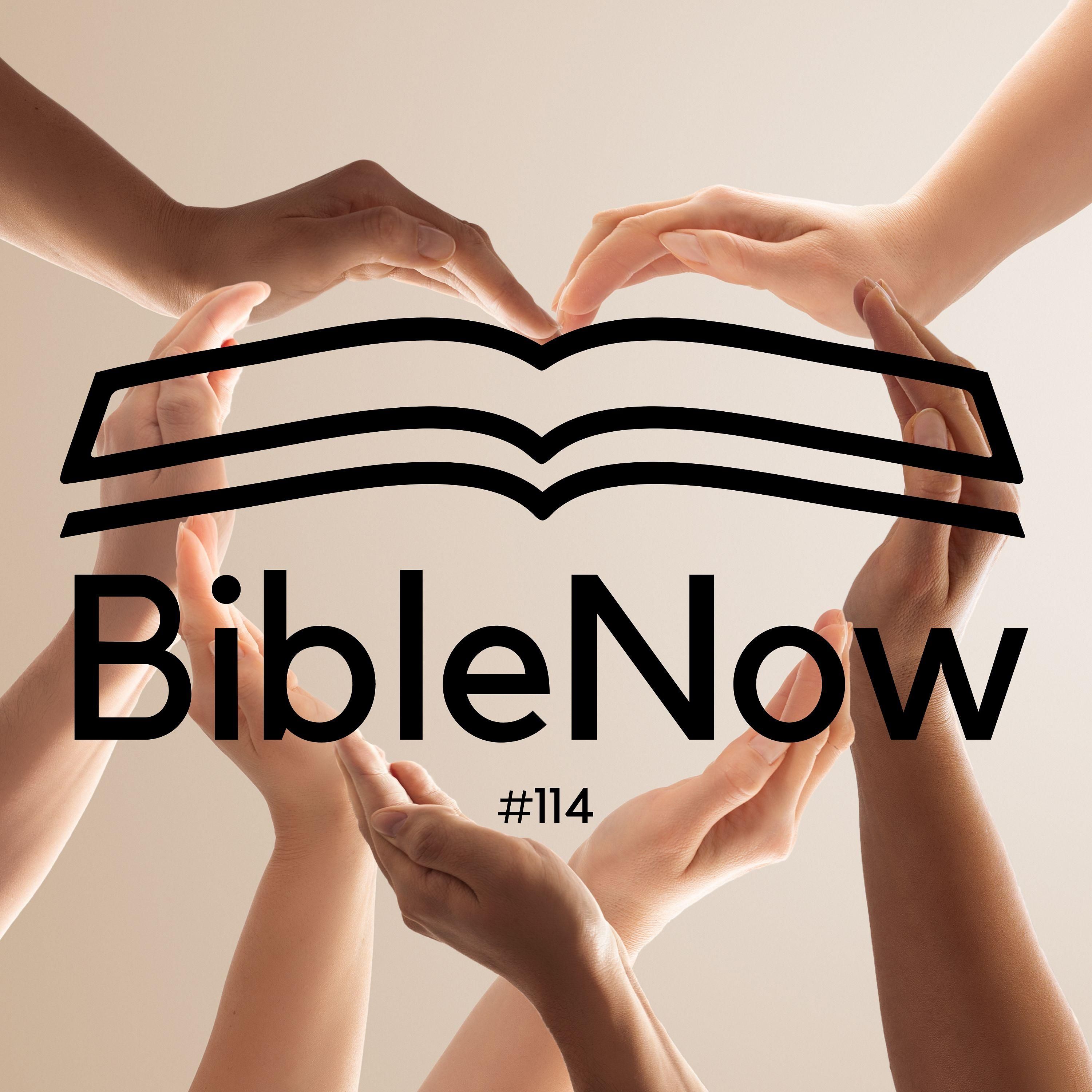 BibleNow #114: 3. Mose 18,23-19,18
