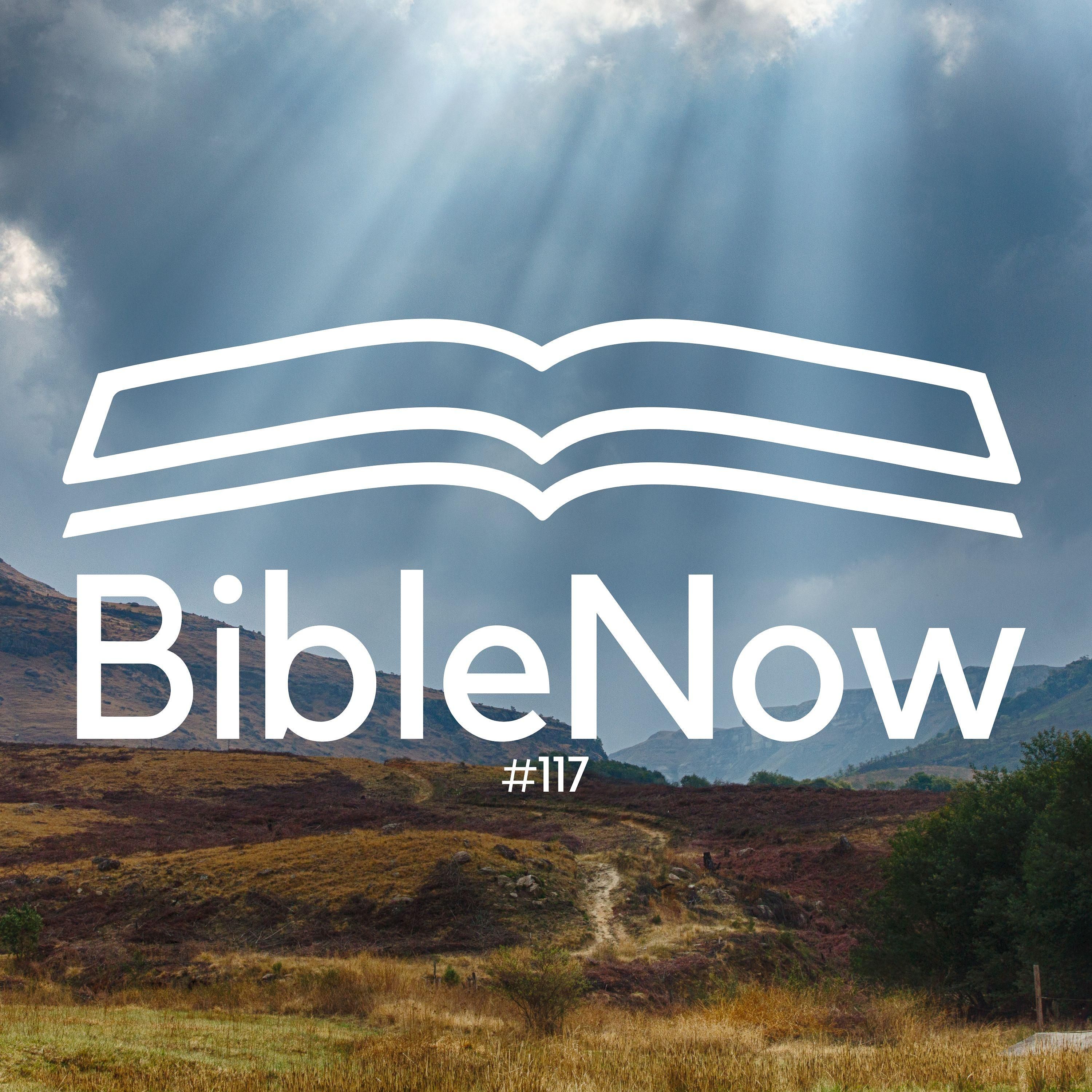 BibleNow #117: 3. Mose 20,24-21,24