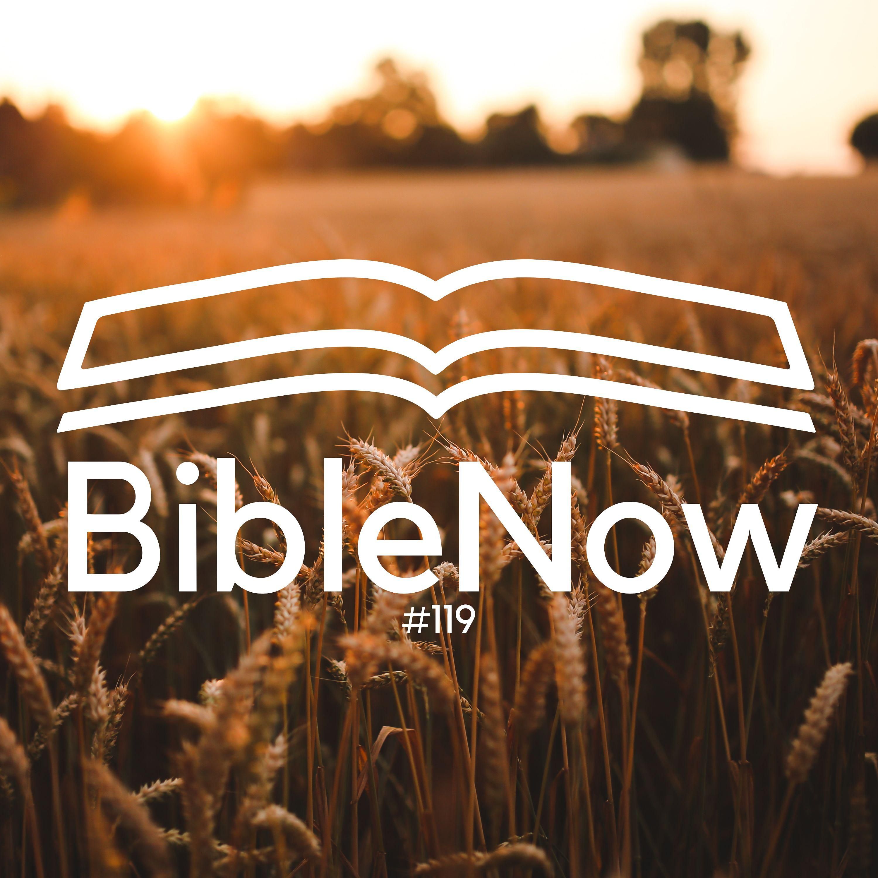 BibleNow #119: 3. Mose 23,4-25