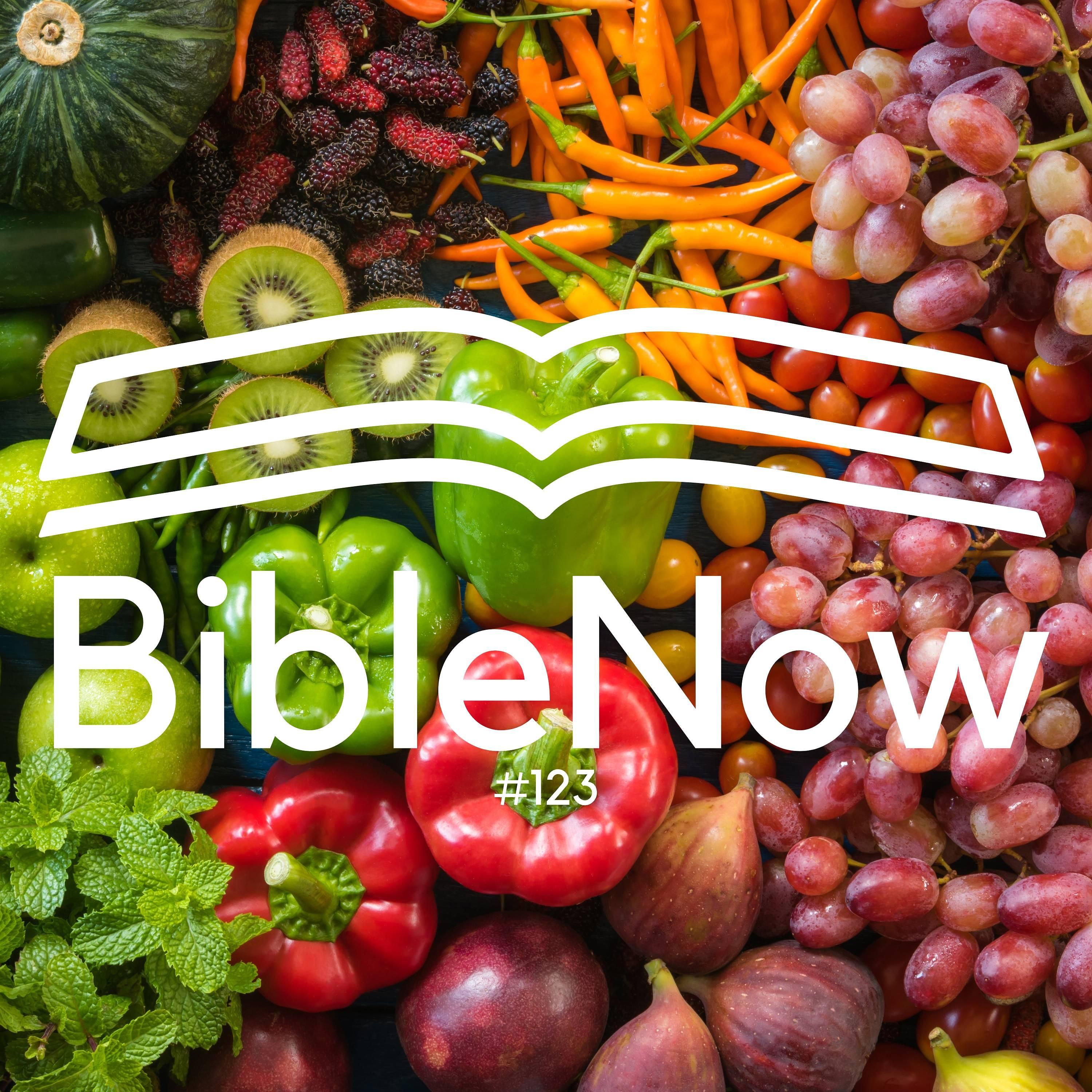 BibleNow #123: 3. Mose 25,39-26,13