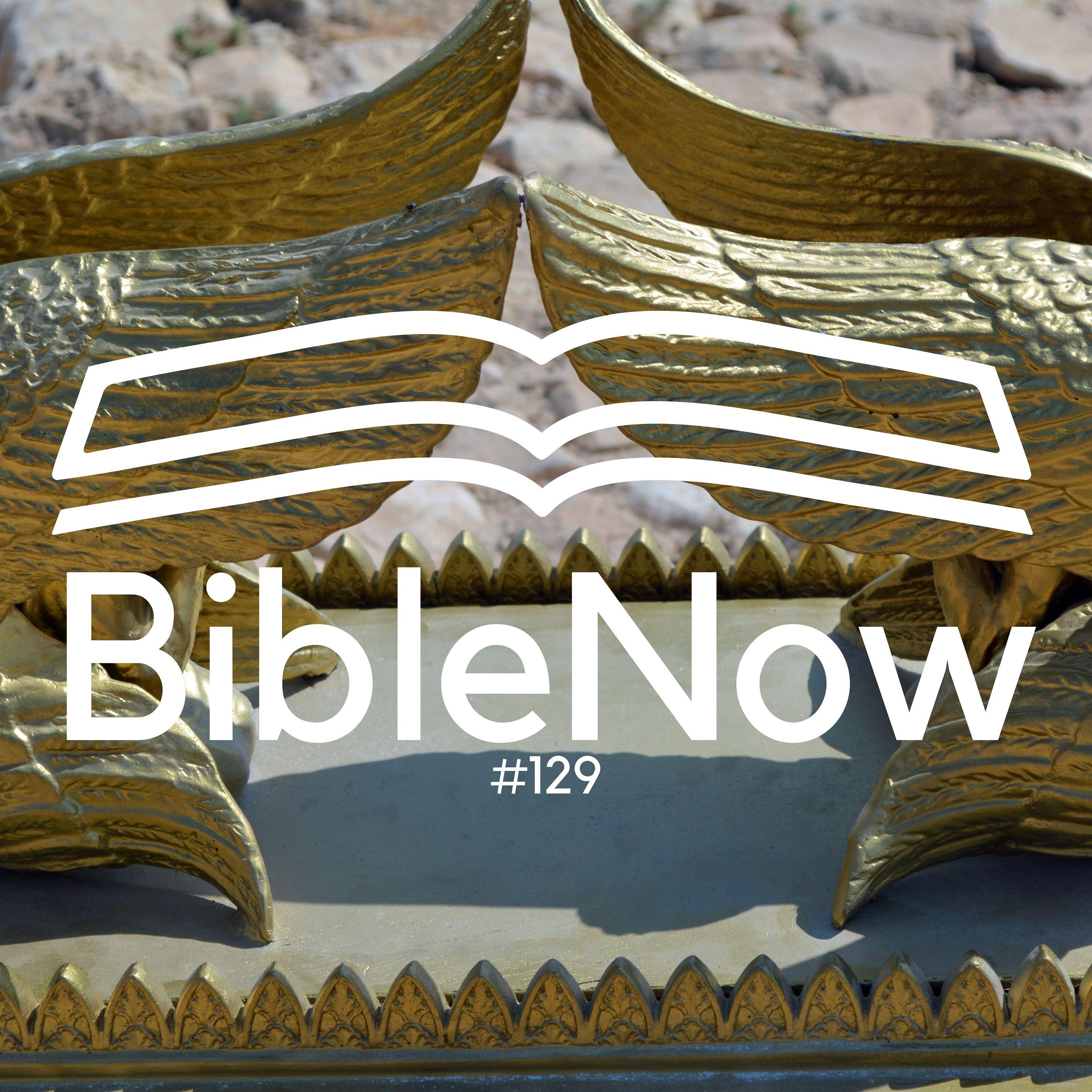 BibleNow #129: 4. Mose 3,40-4,20