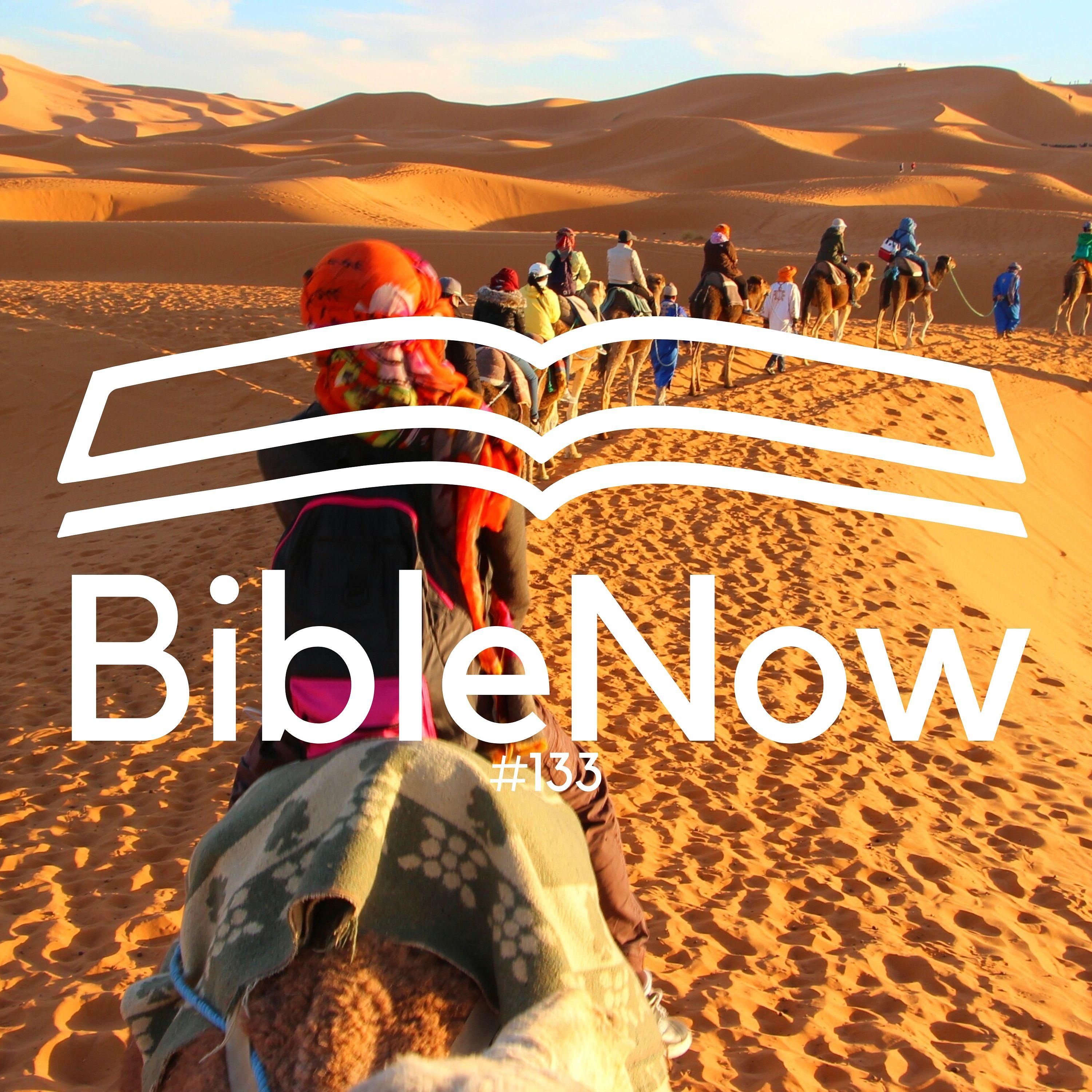 BibleNow #133: 4. Mose 8
