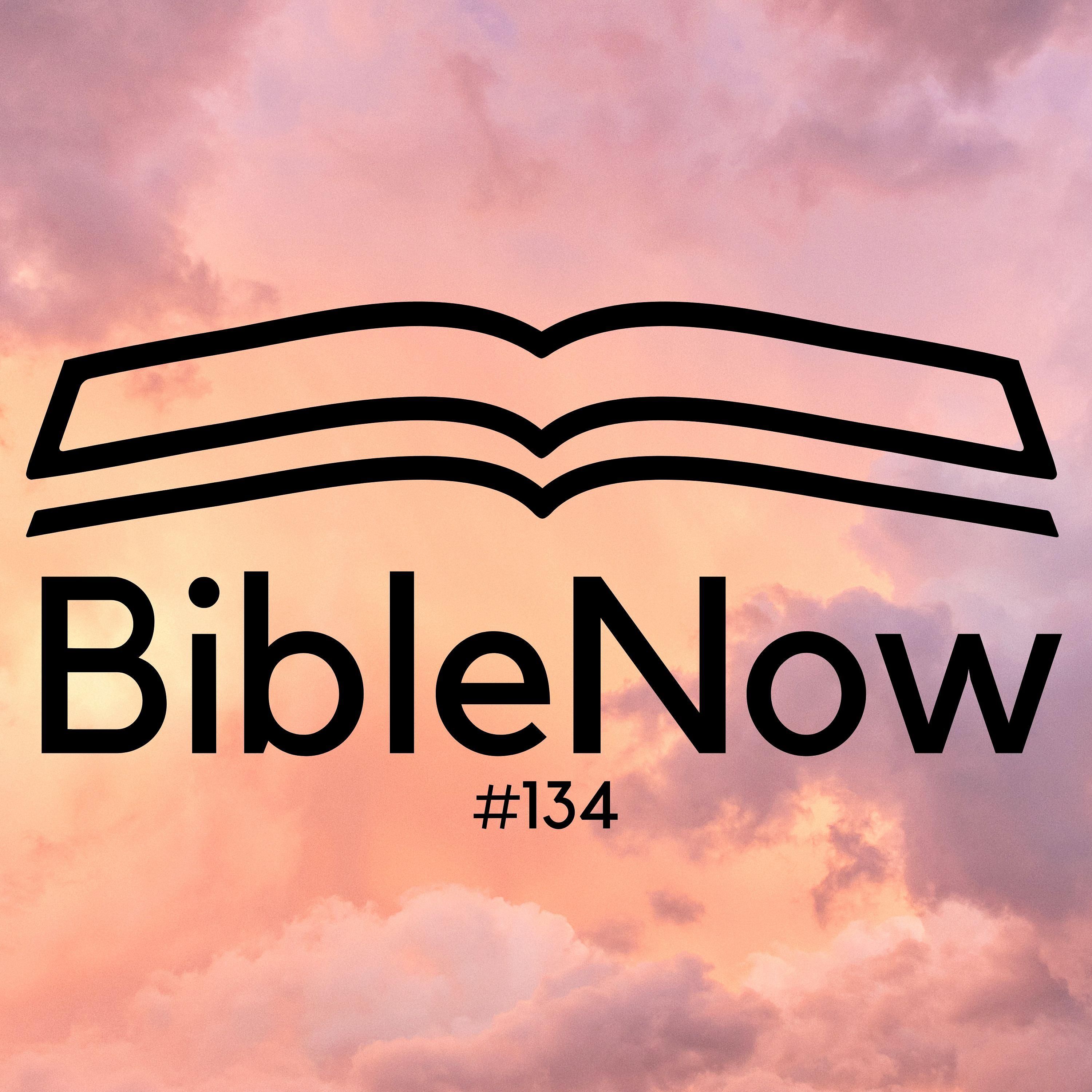 BibleNow #134: 4. Mose 9