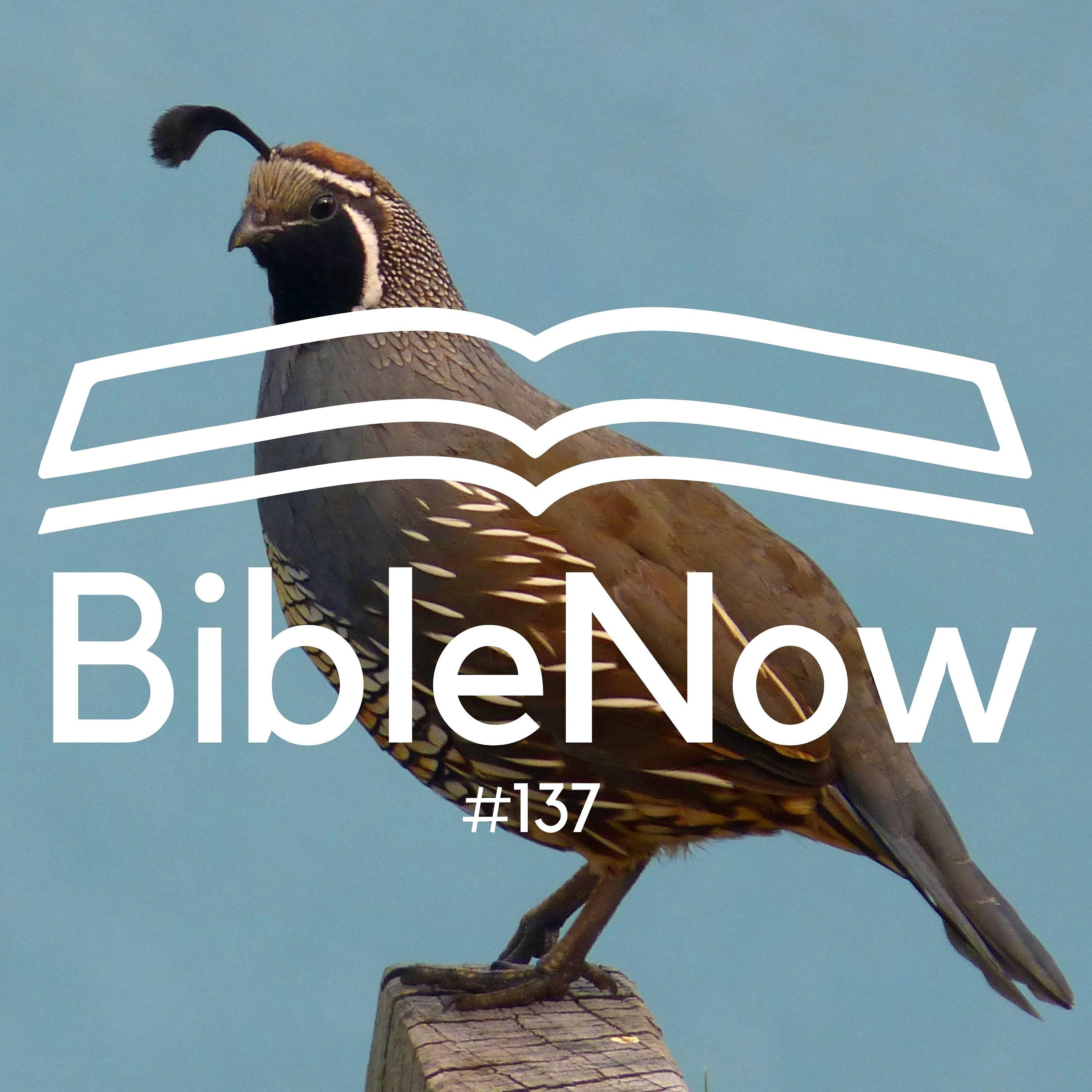 BibleNow #137: 4. Mose 11,24-12,16