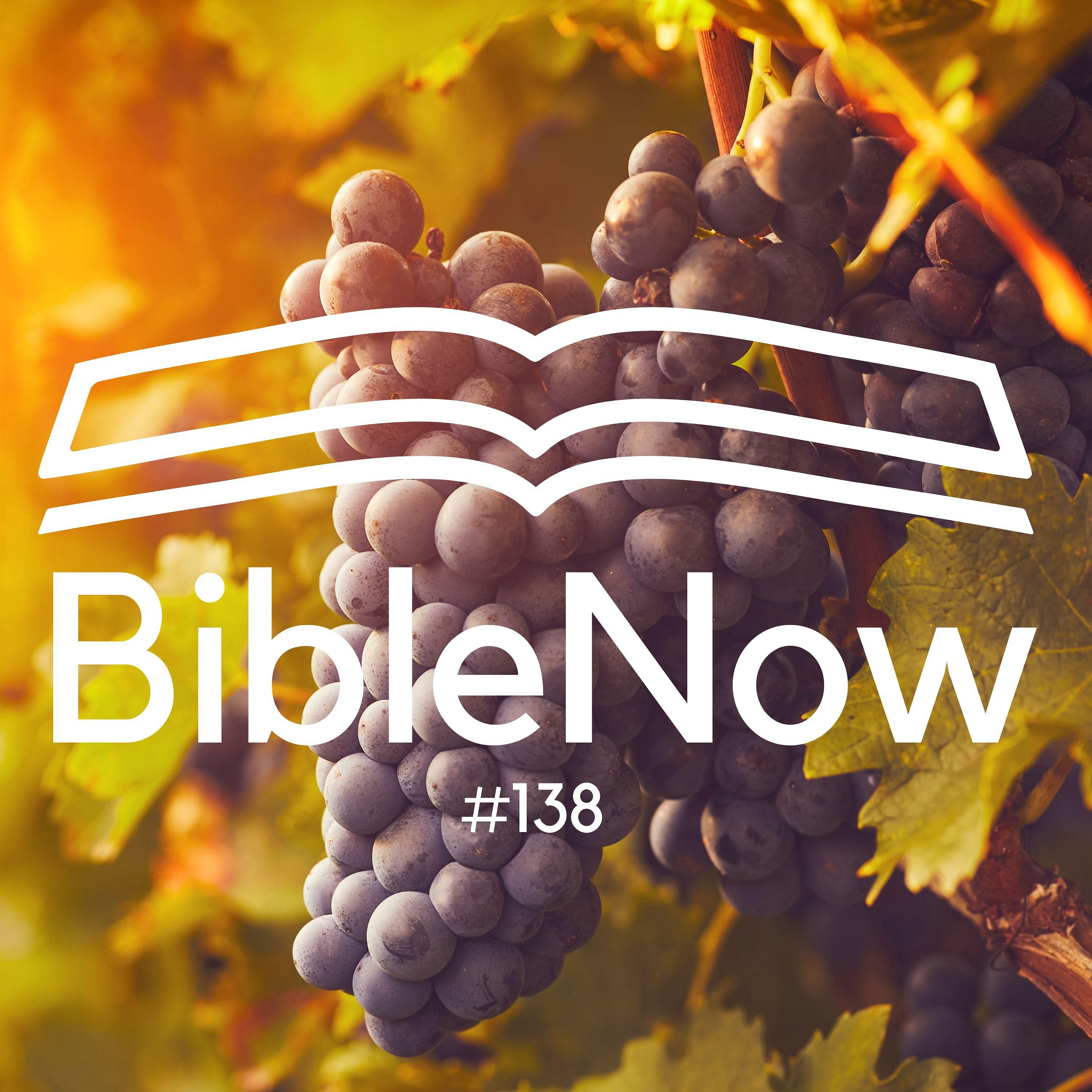 BibleNow #138: 4. Mose 13,1-14,25