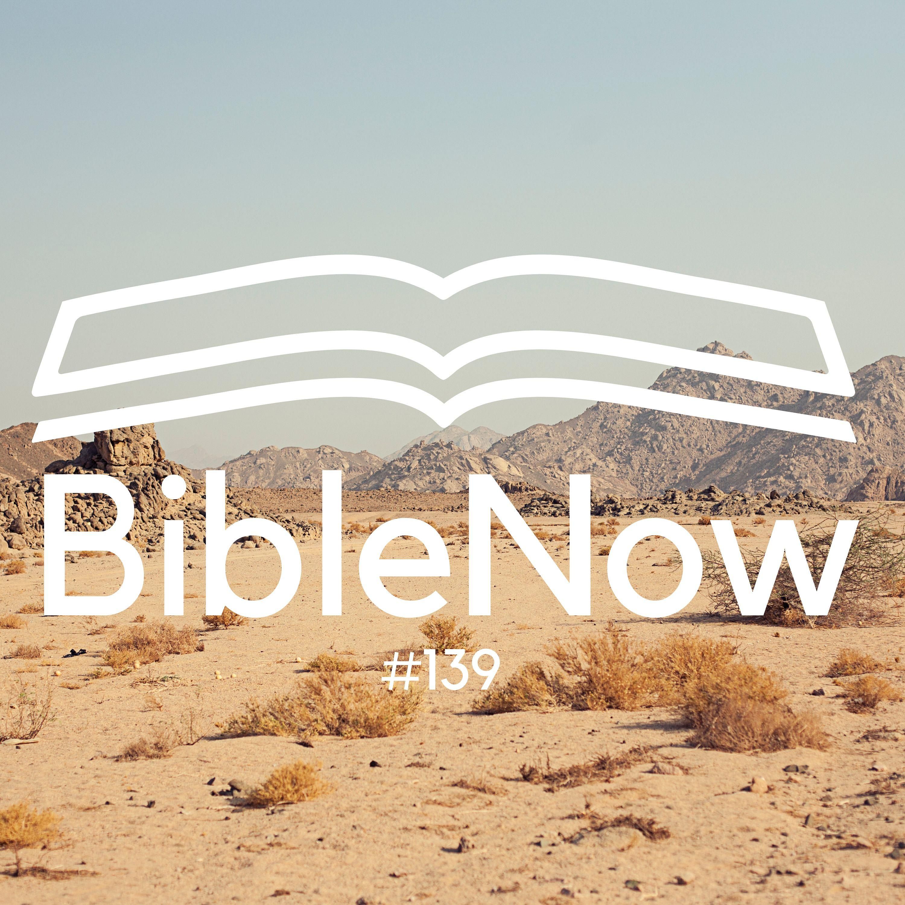 BibleNow #139: 4. Mose 14,26-15,16