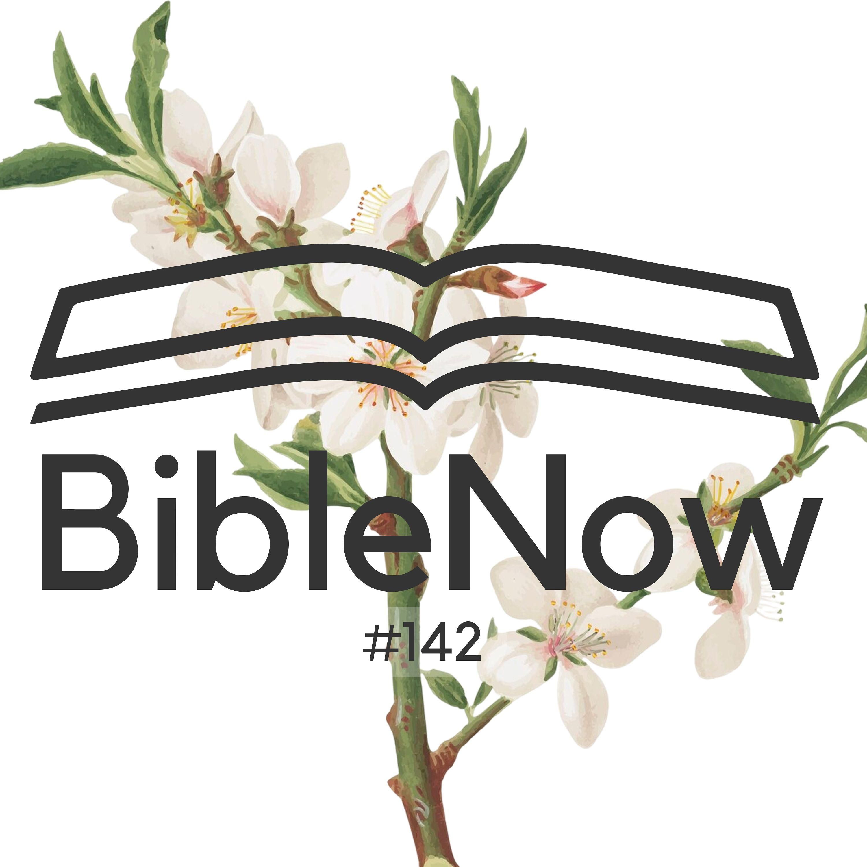 BibleNow #142: 4. Mose 17,6-18,7