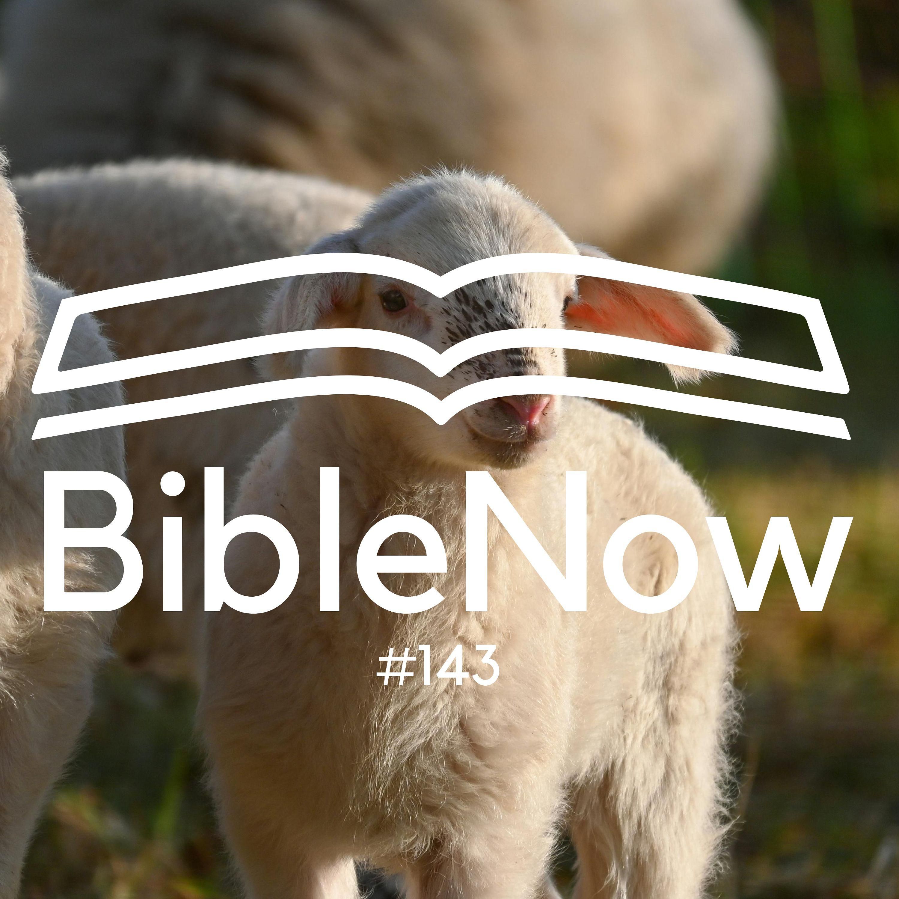 BibleNow #143: 4. Mose 18,8-32