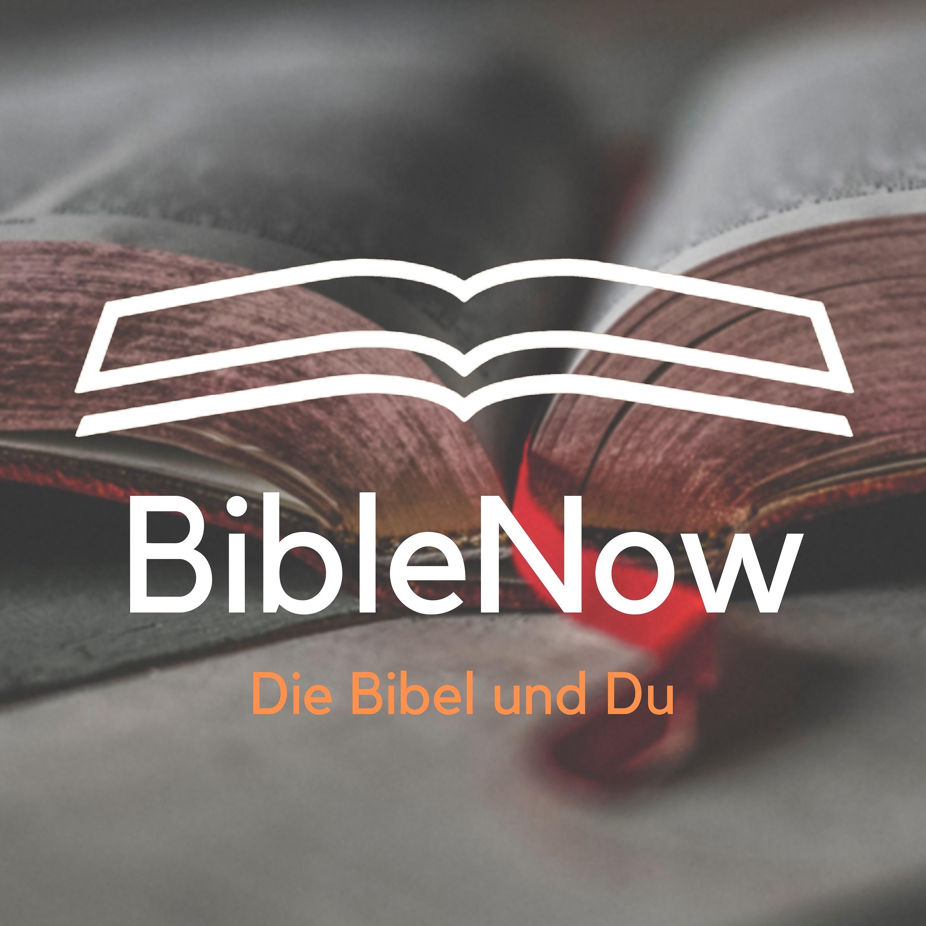 BibleNow #39: 1. Mose 34-35,15