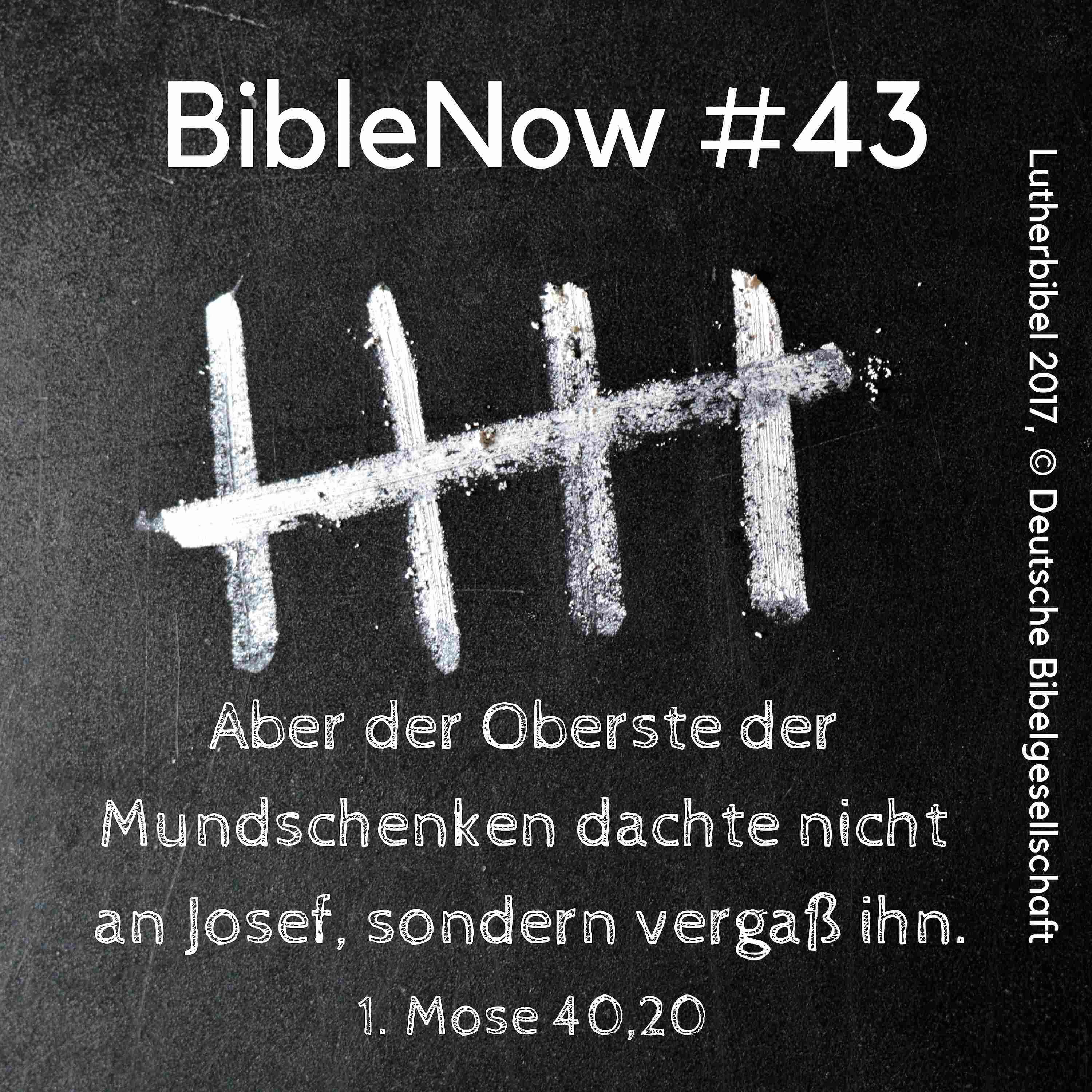 BibleNow #43: 1. Mose 40,9-41,16