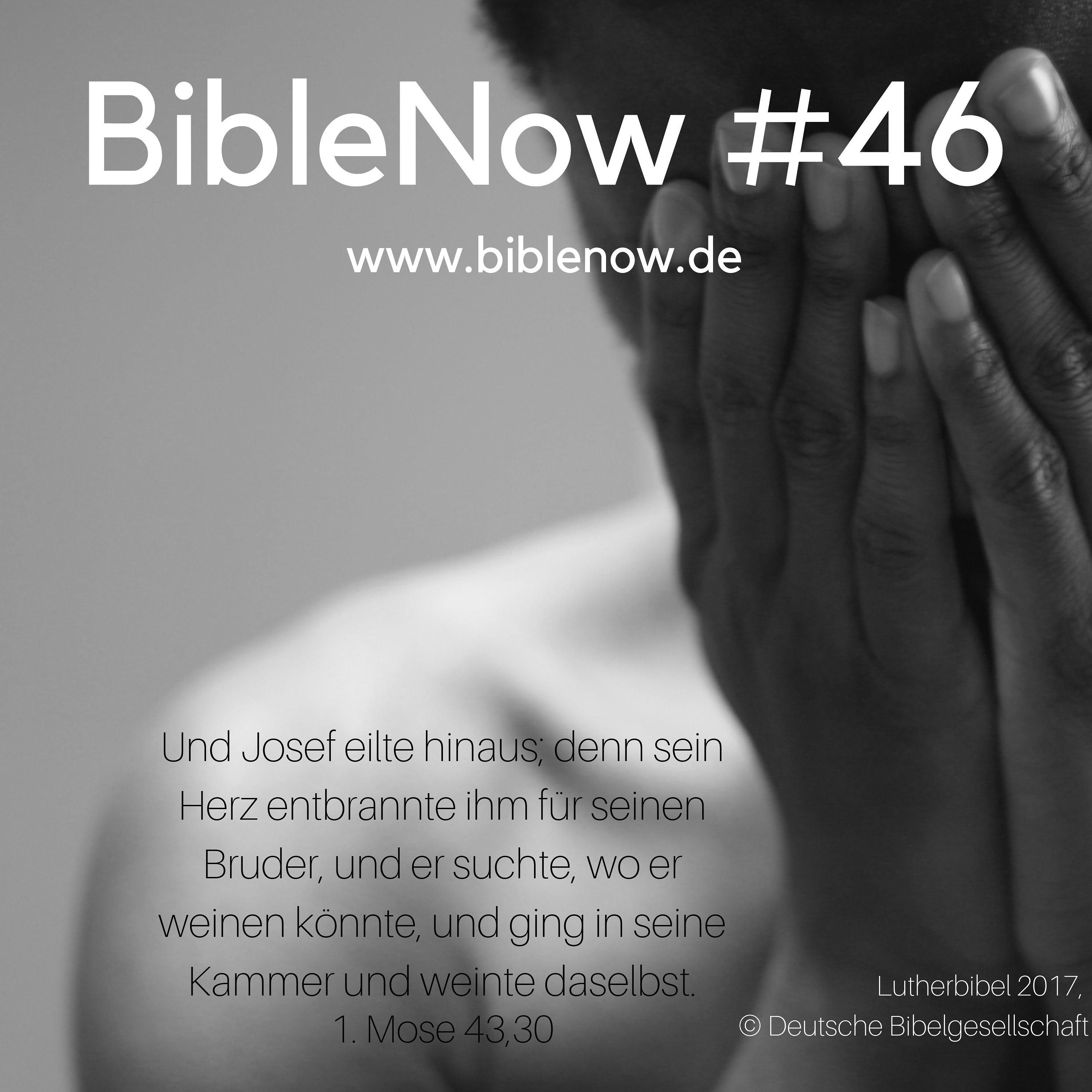 BibleNow #46: 1. Mose 42,27-43,34