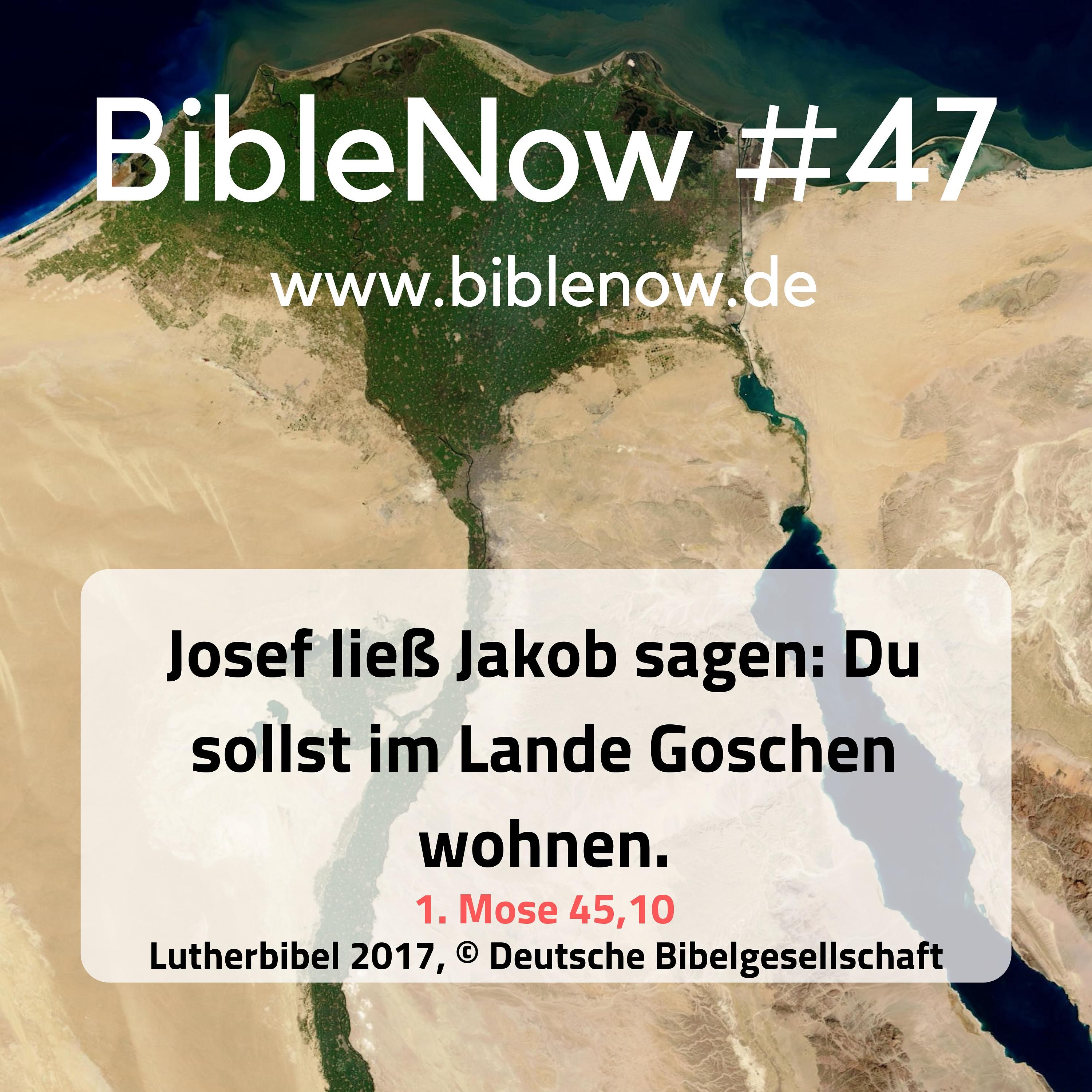 BibleNow #47: 1. Mose 44,1-45,11