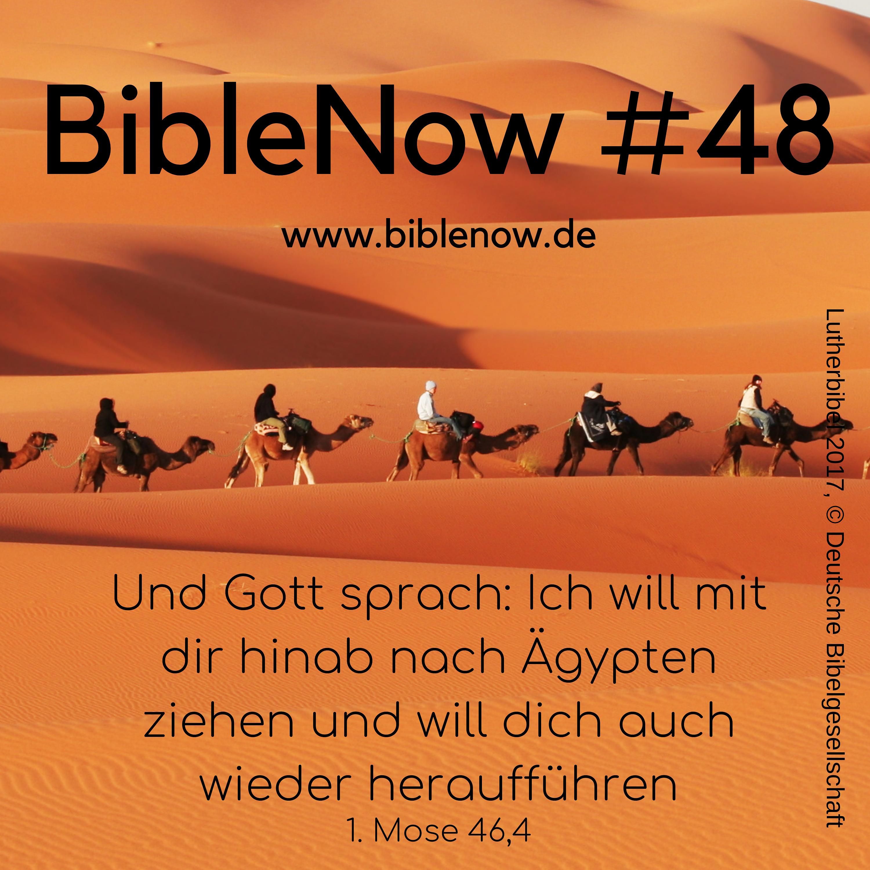 BibleNow #48: 1. Mose 45,12-46,7