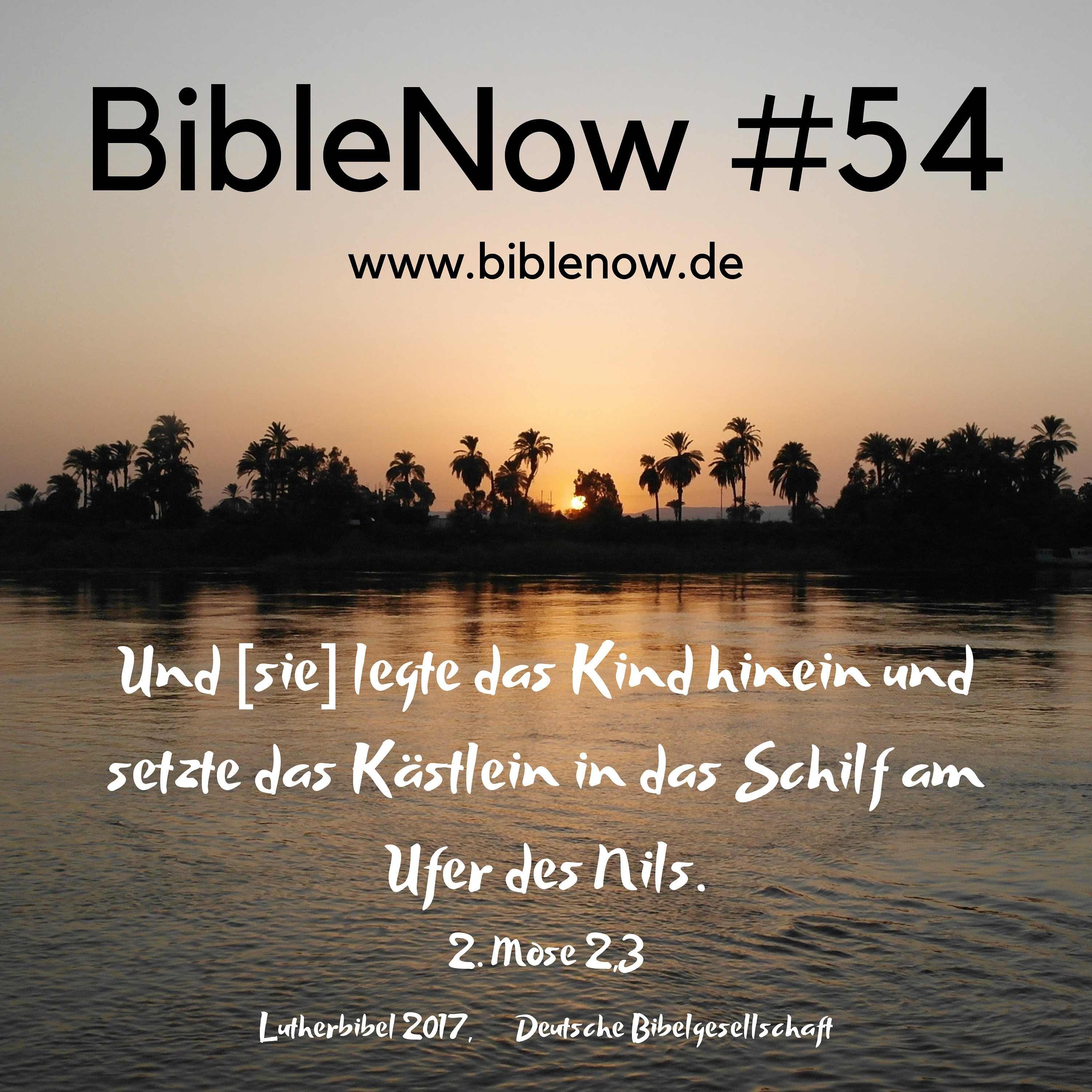 BibleNow #54: 2. Mose 1,18-2,15