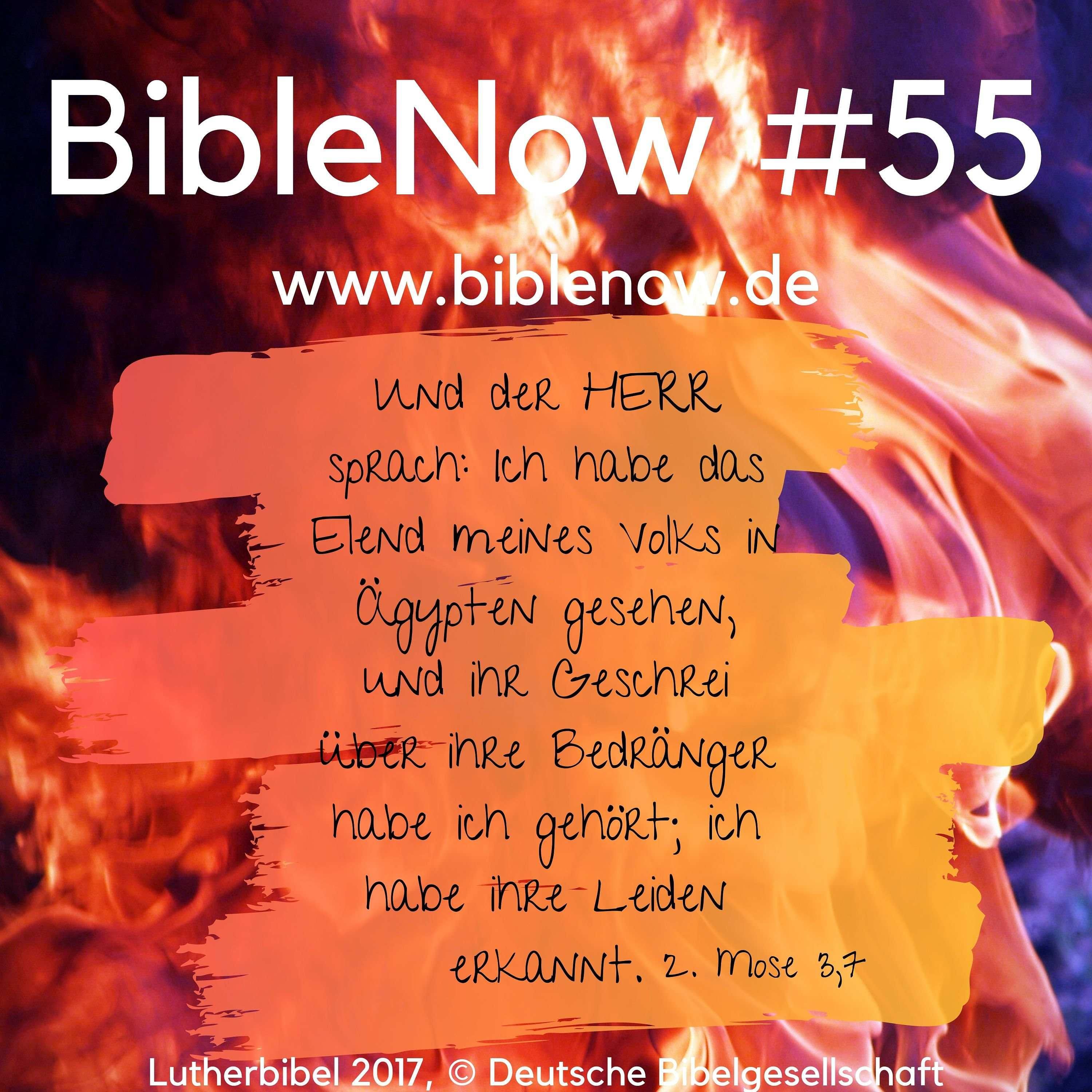 BibleNow #55: 2. Mose 2,21-3,14