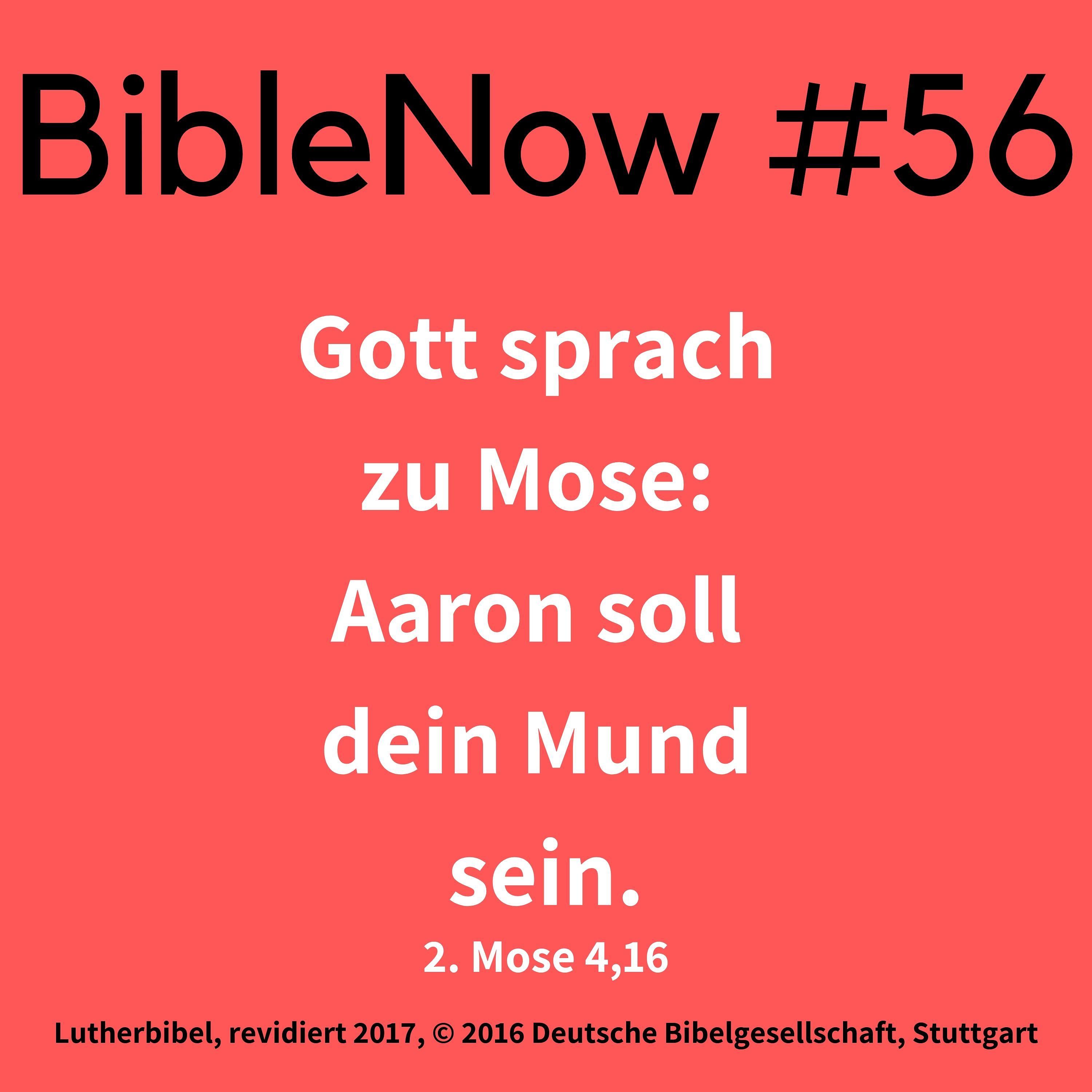 BibleNow #56: 2. Mose 3,15-4,17