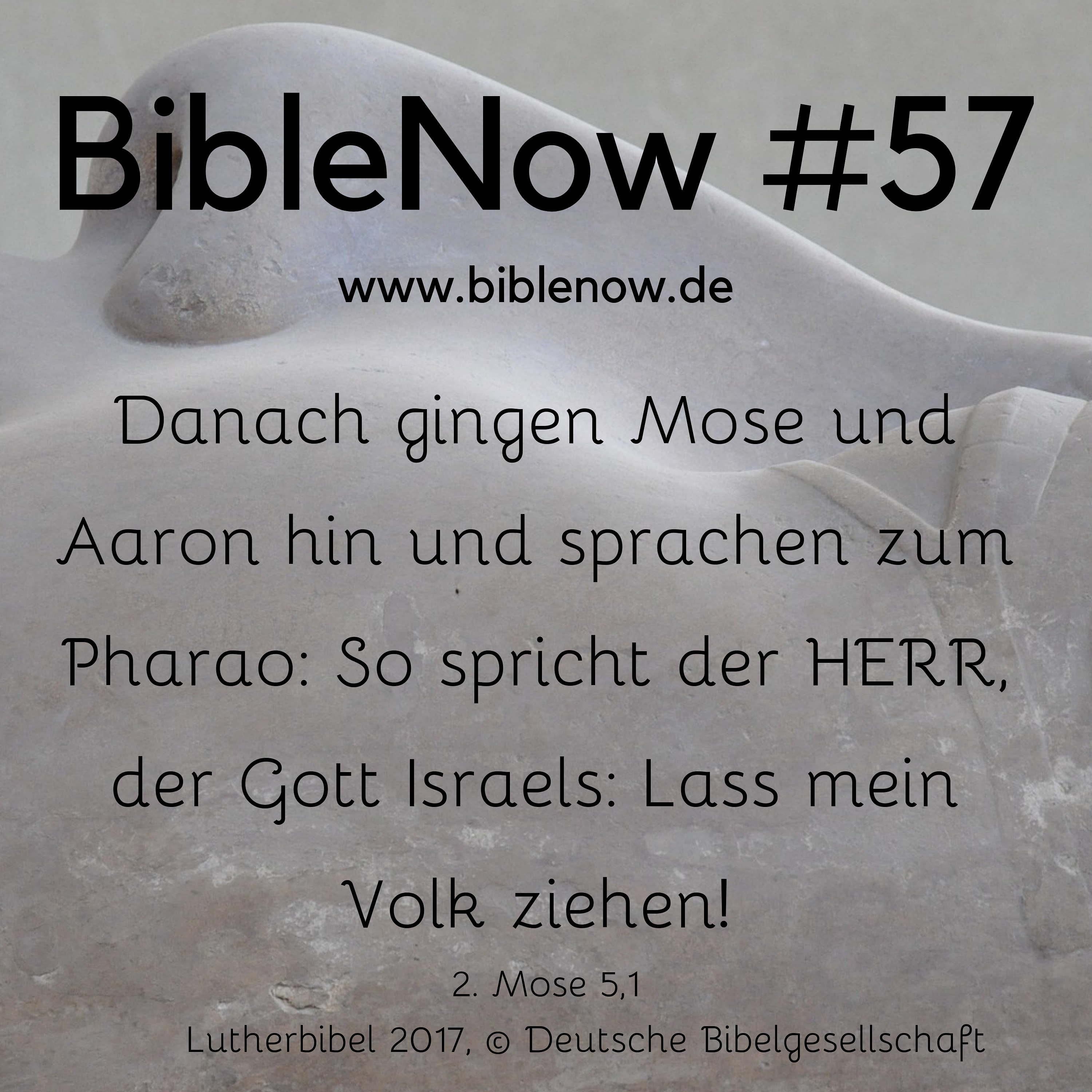 BibleNow #57: 2. Mose 4,18-5,19