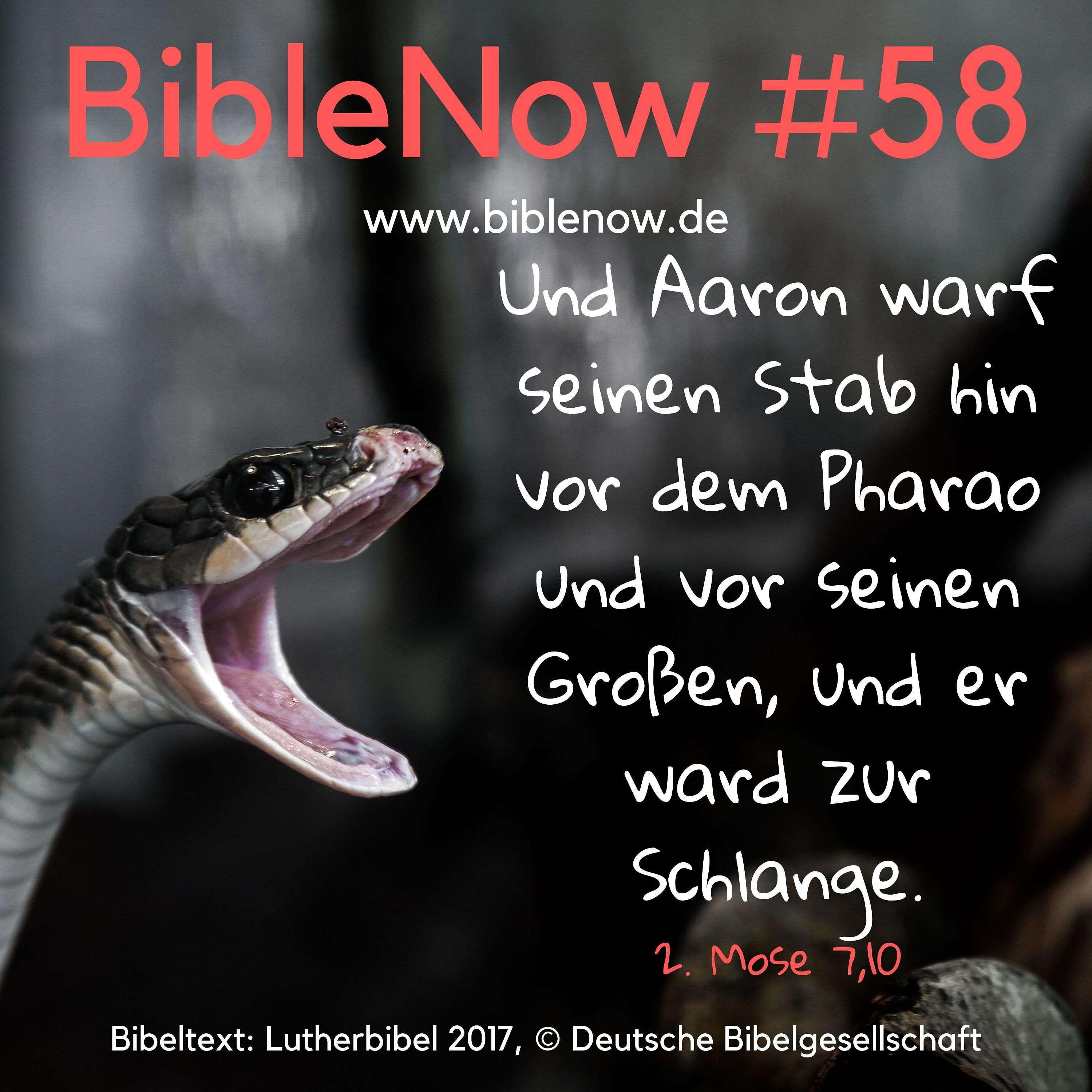BibleNow #58: 2. Mose 5,20-7,13