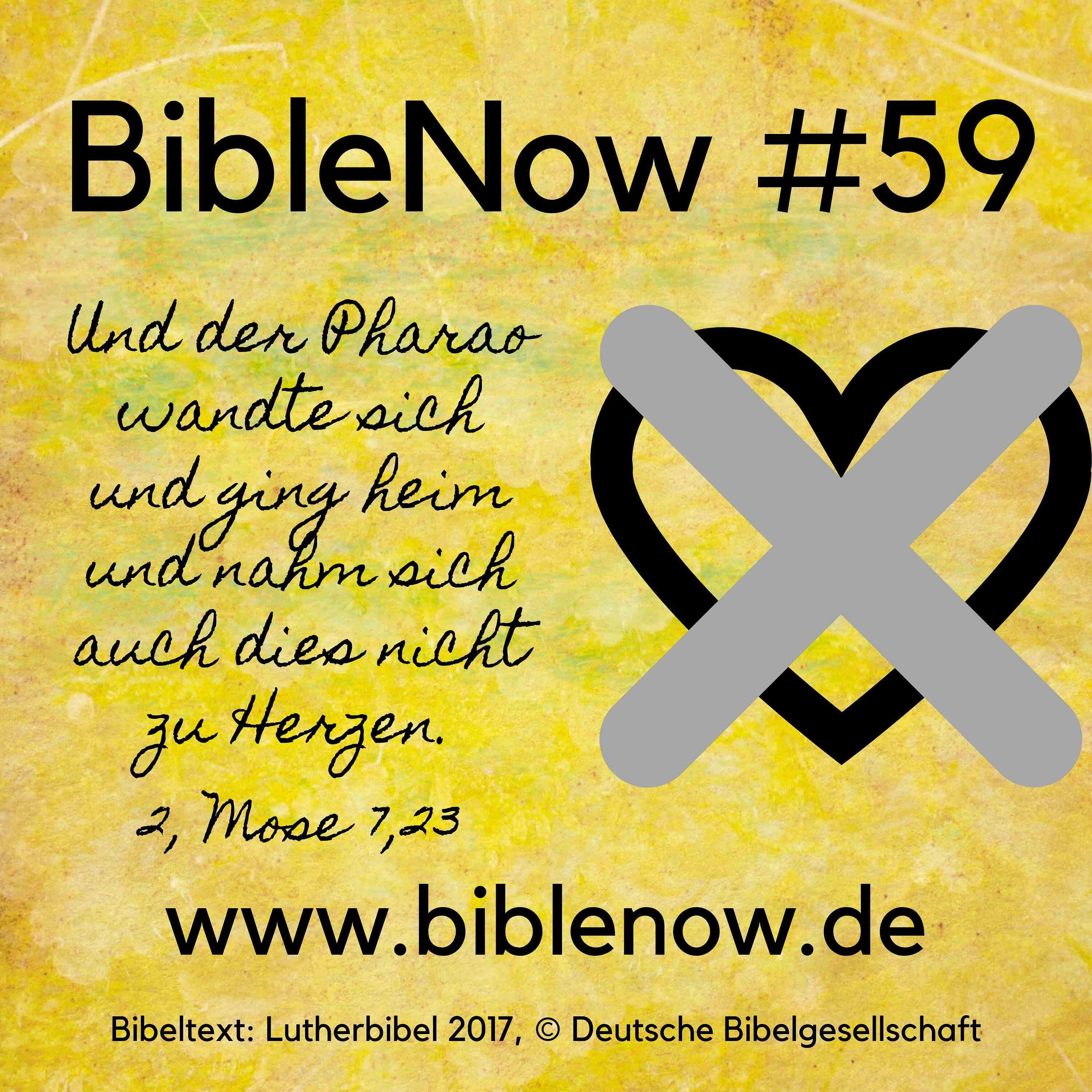BibleNow #59: 2. Mose 7,14-8,11