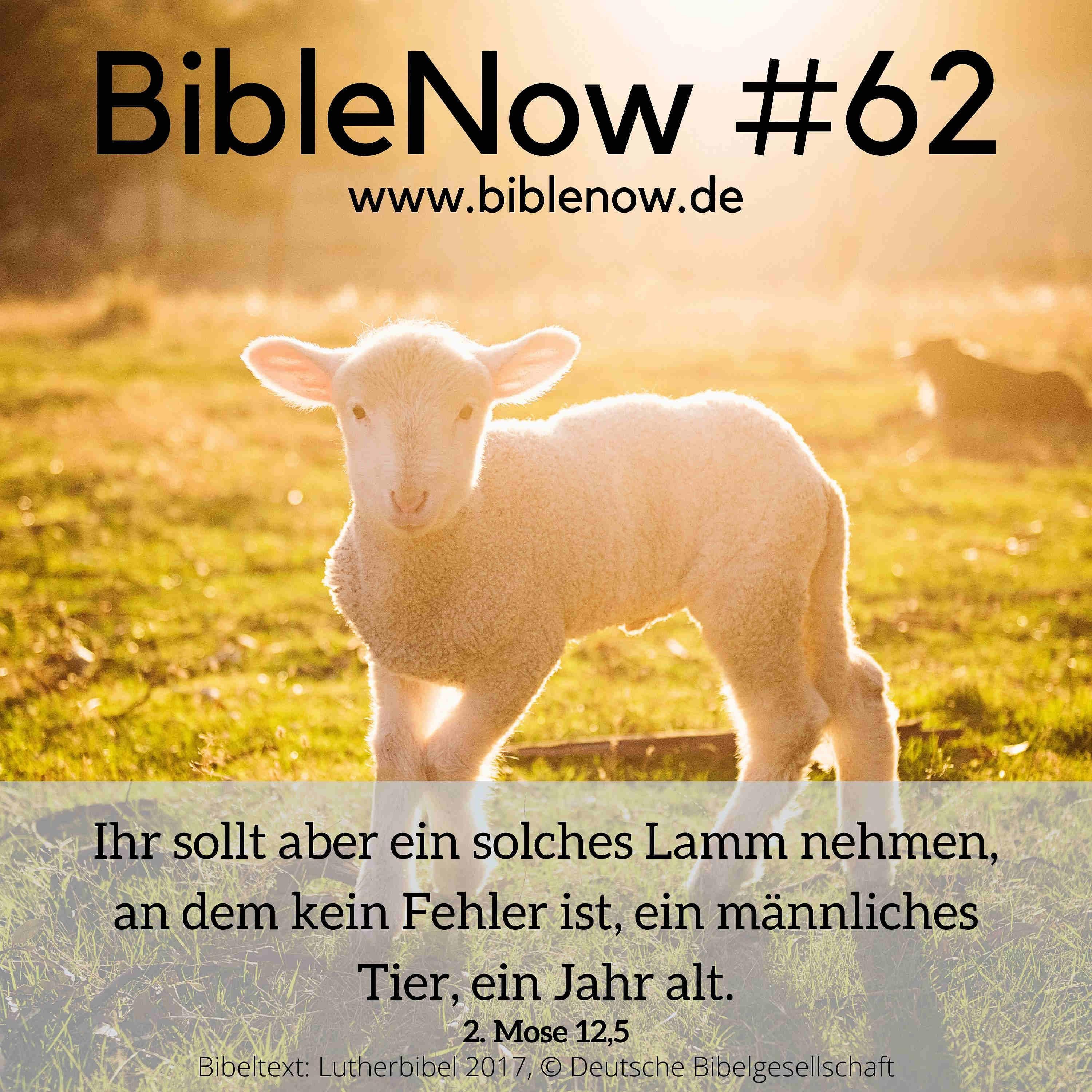 BibleNow #62: 2. Mose 11,1-12,17