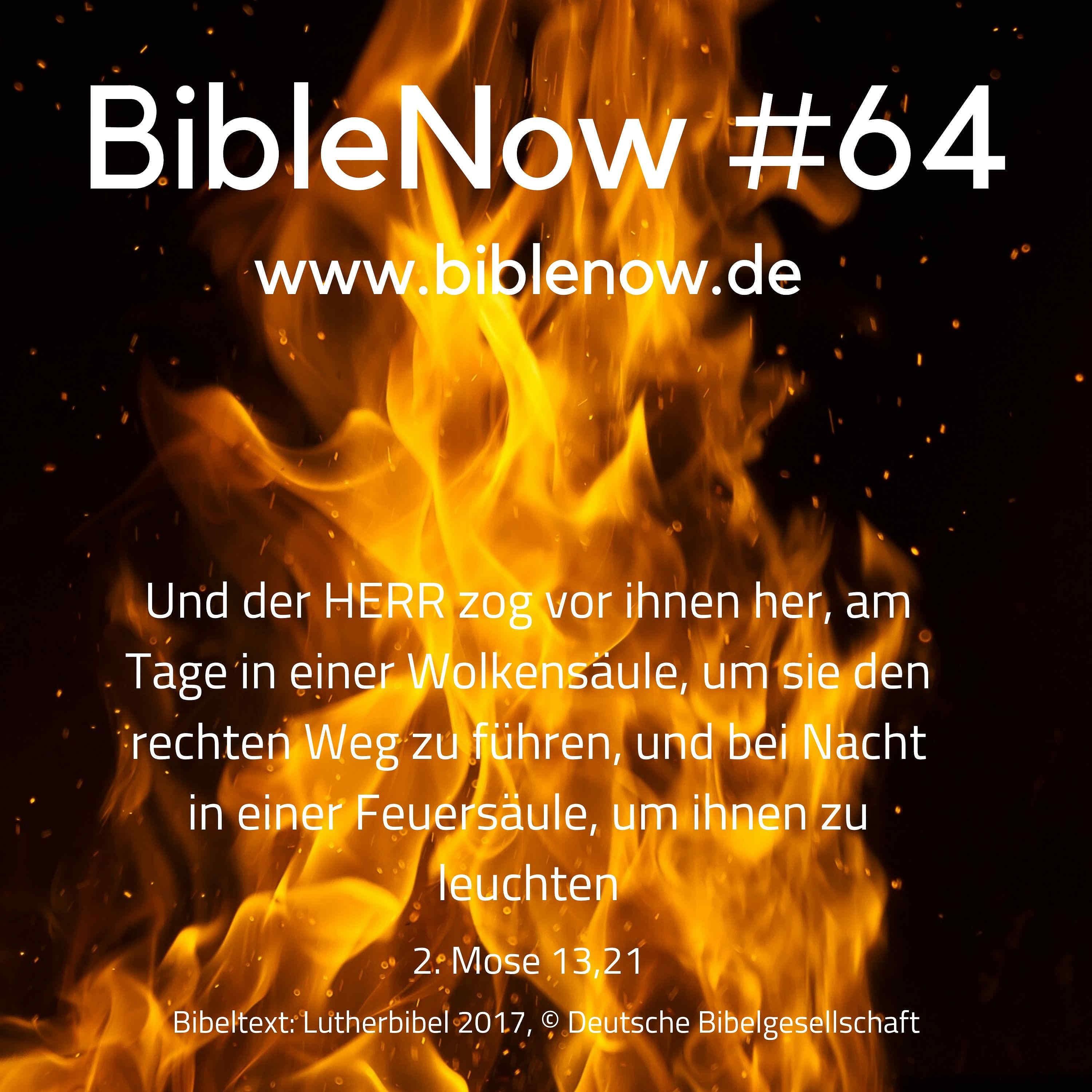 BibleNow #64: 2. Mose 13,11-14,22
