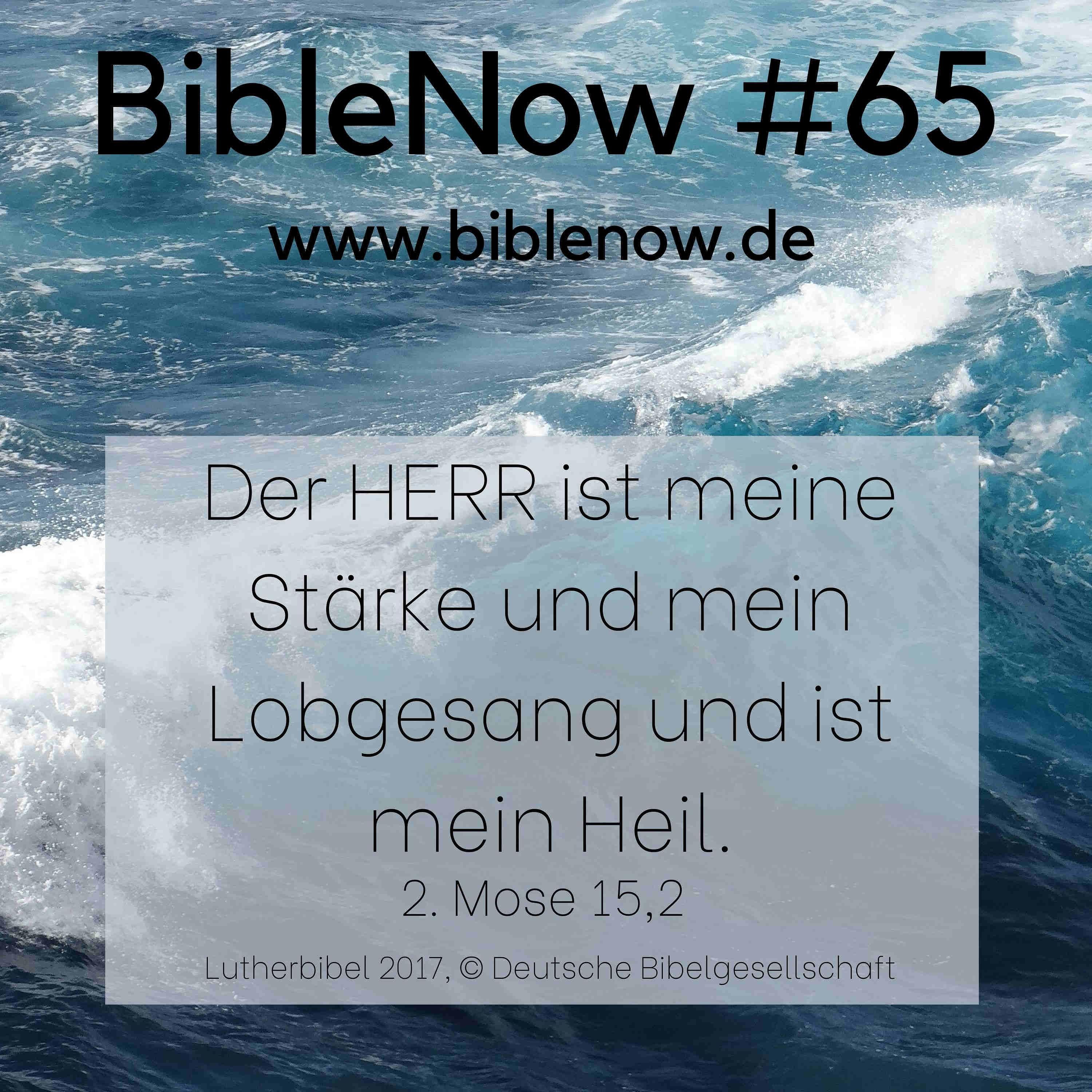 BibleNow #65: 2. Mose 14,23-15,16