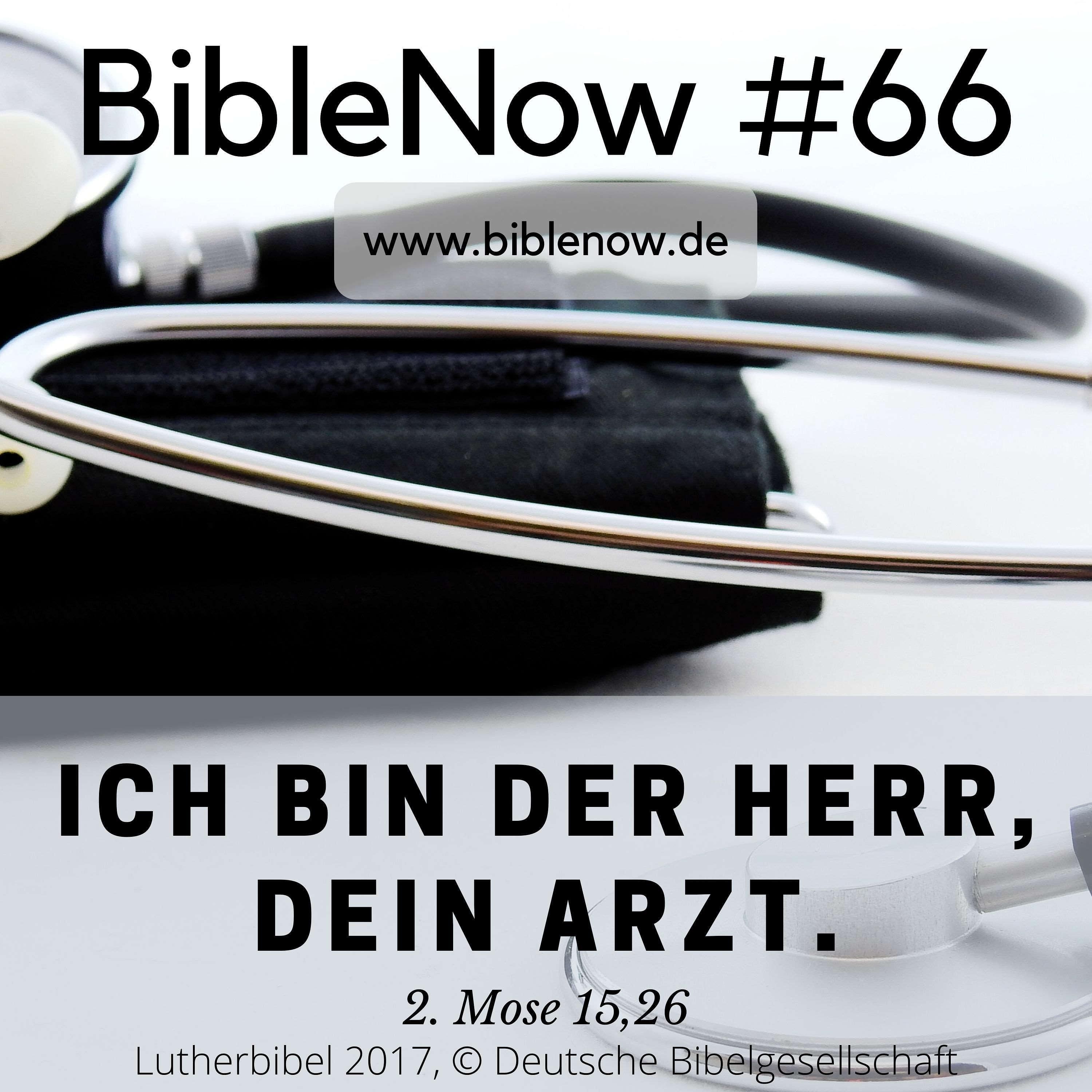 BibleNow #66: 2. Mose 15,17-16,8