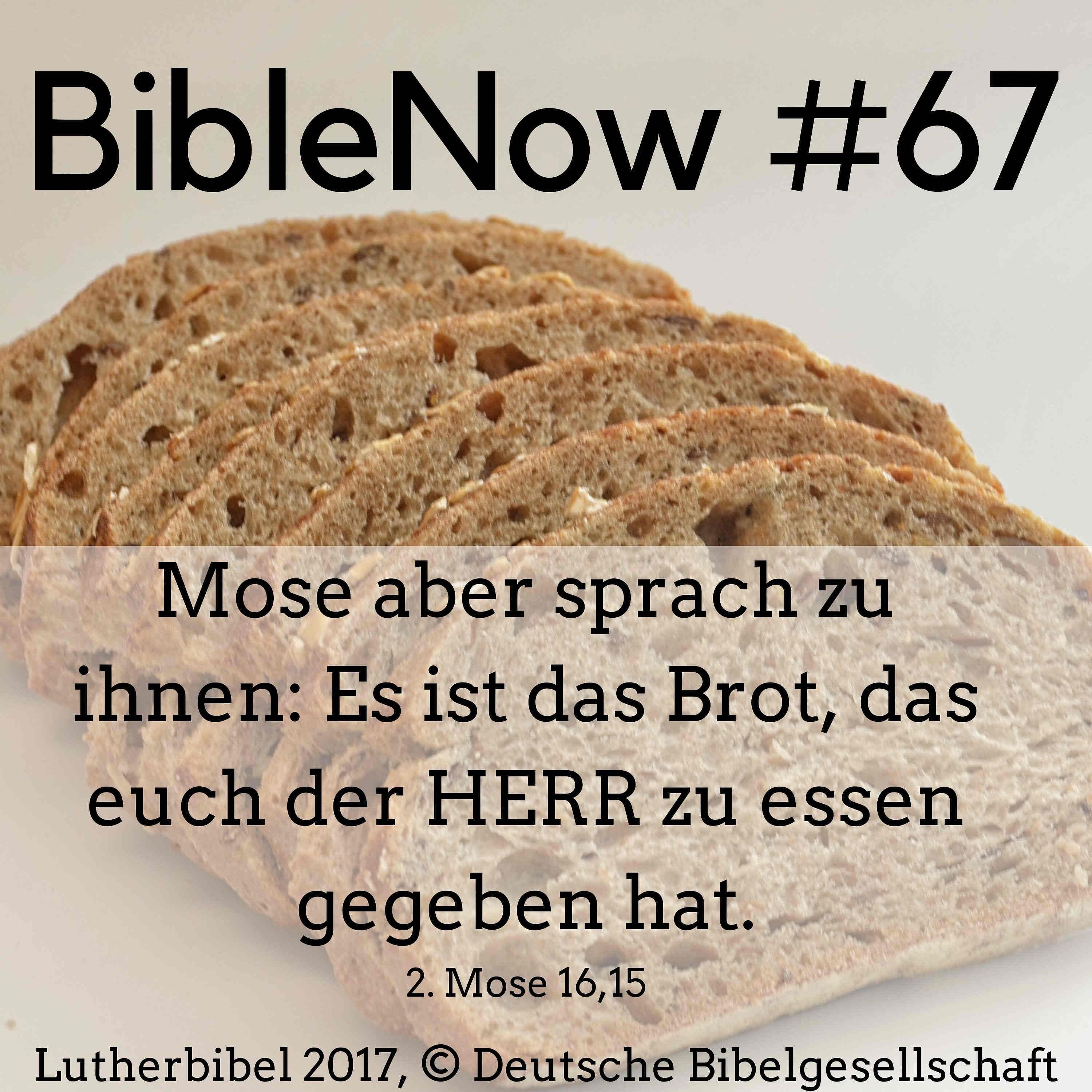BibleNow #67: 2. Mose 16,9-27