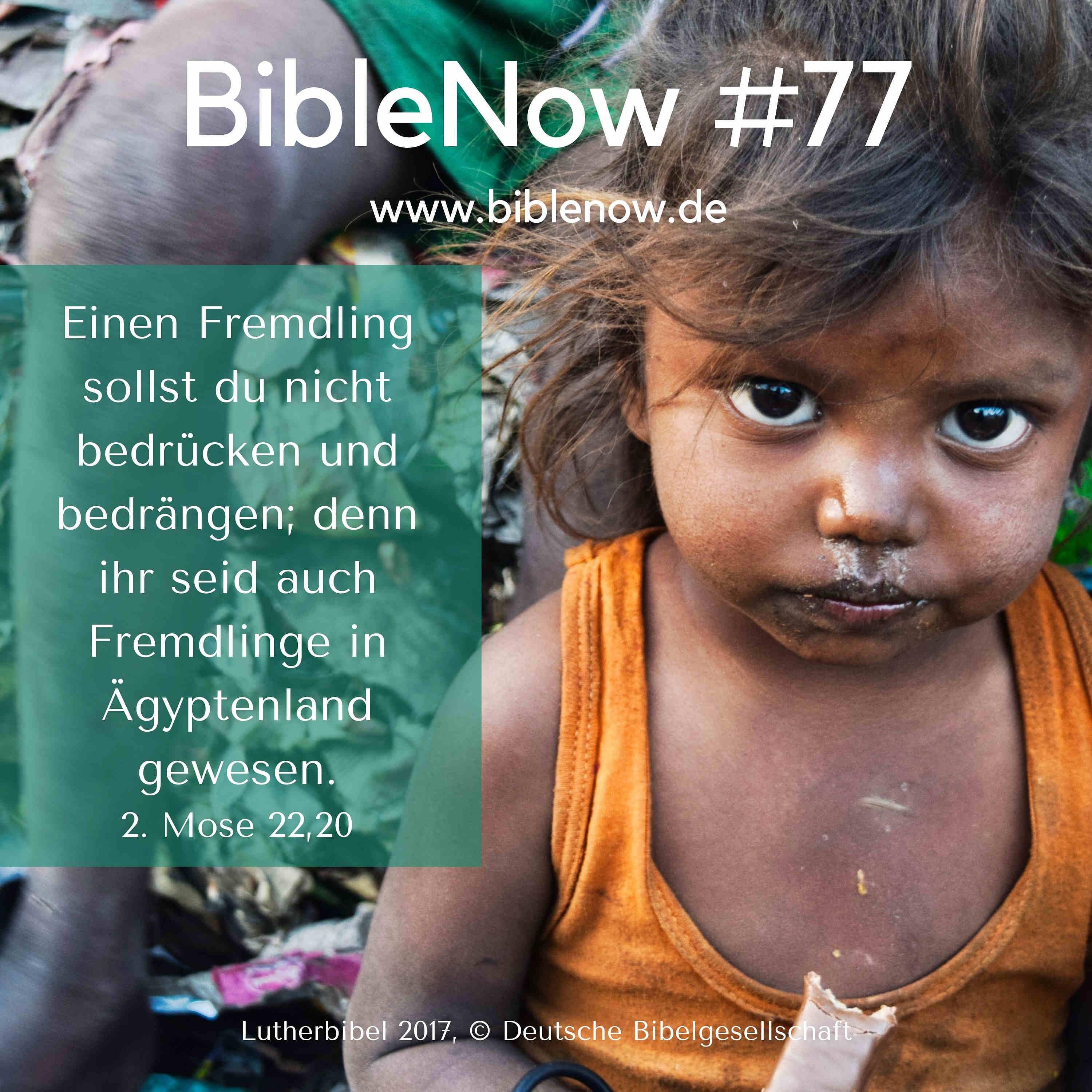 BibleNow #77: 2. Mose 22,20-23,5