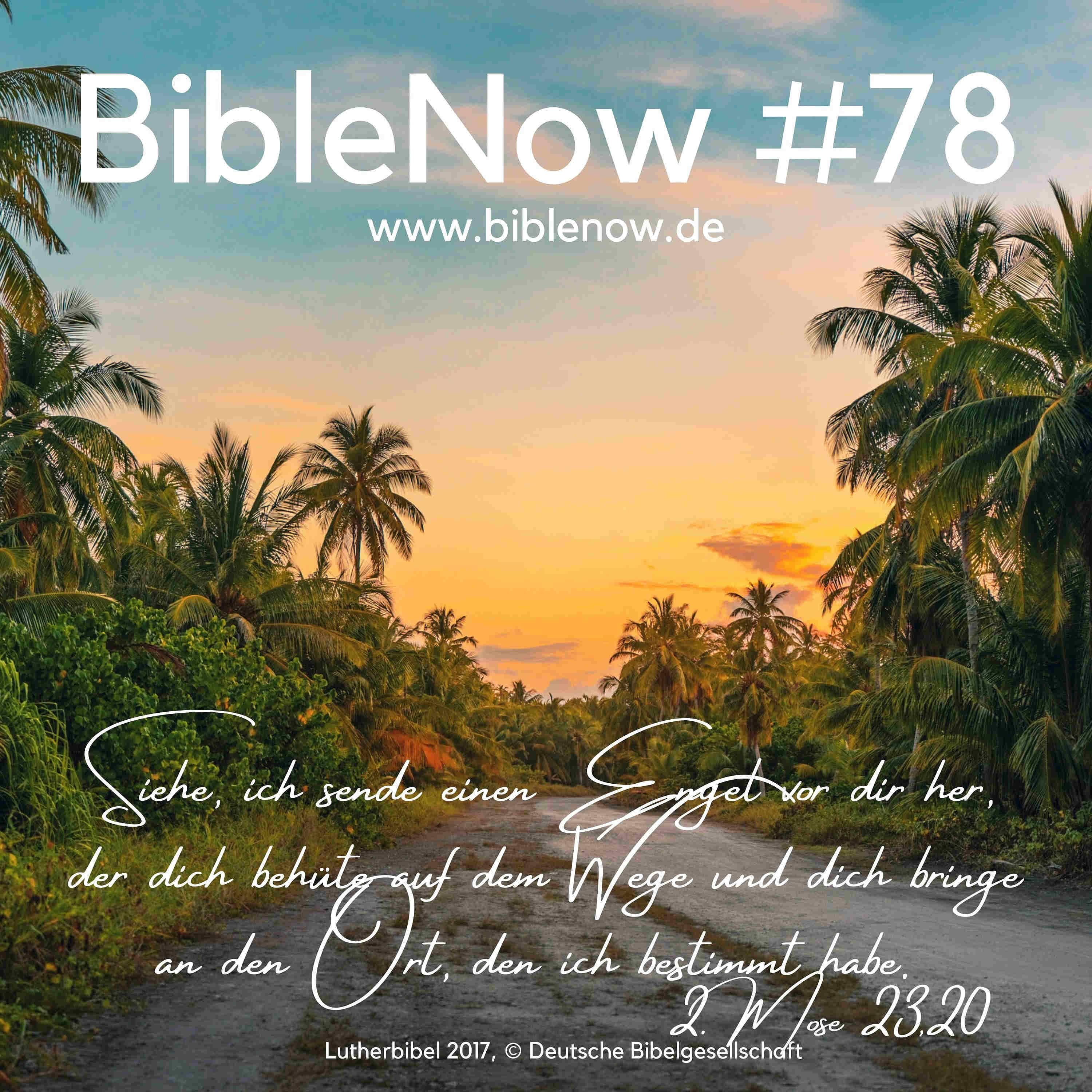 BibleNow #78: 2. Mose 23,6-33